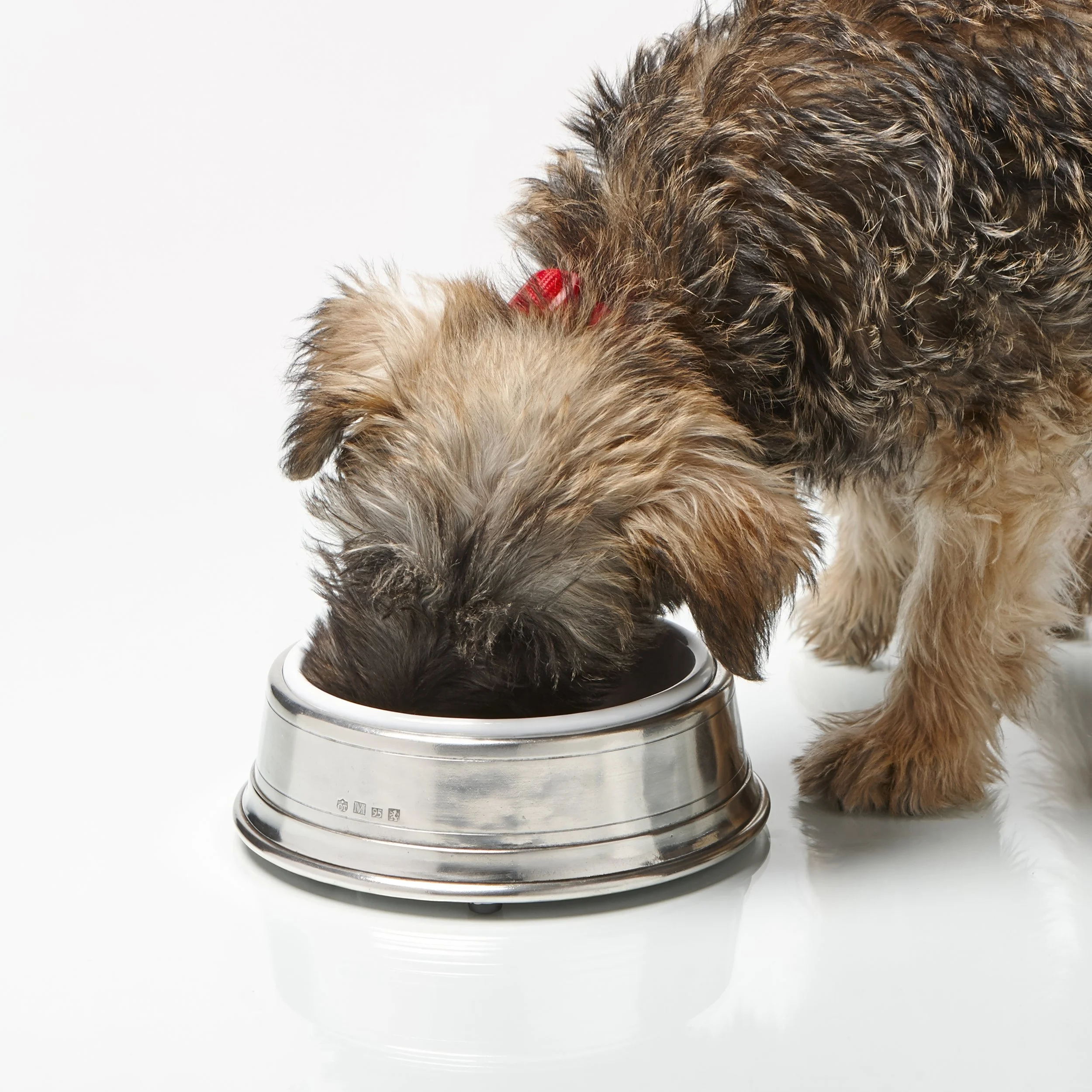 CT0134301_CONVIVIO_White_Enamel_Pet_Bowl_05.jpg