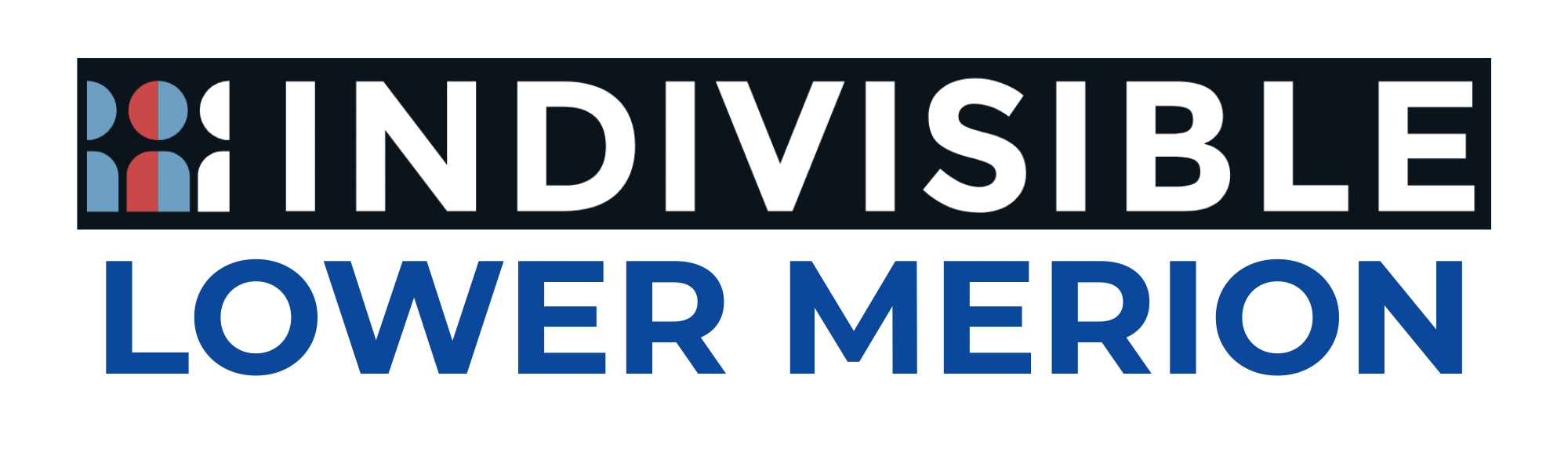 Indivisible Lower Merion.png