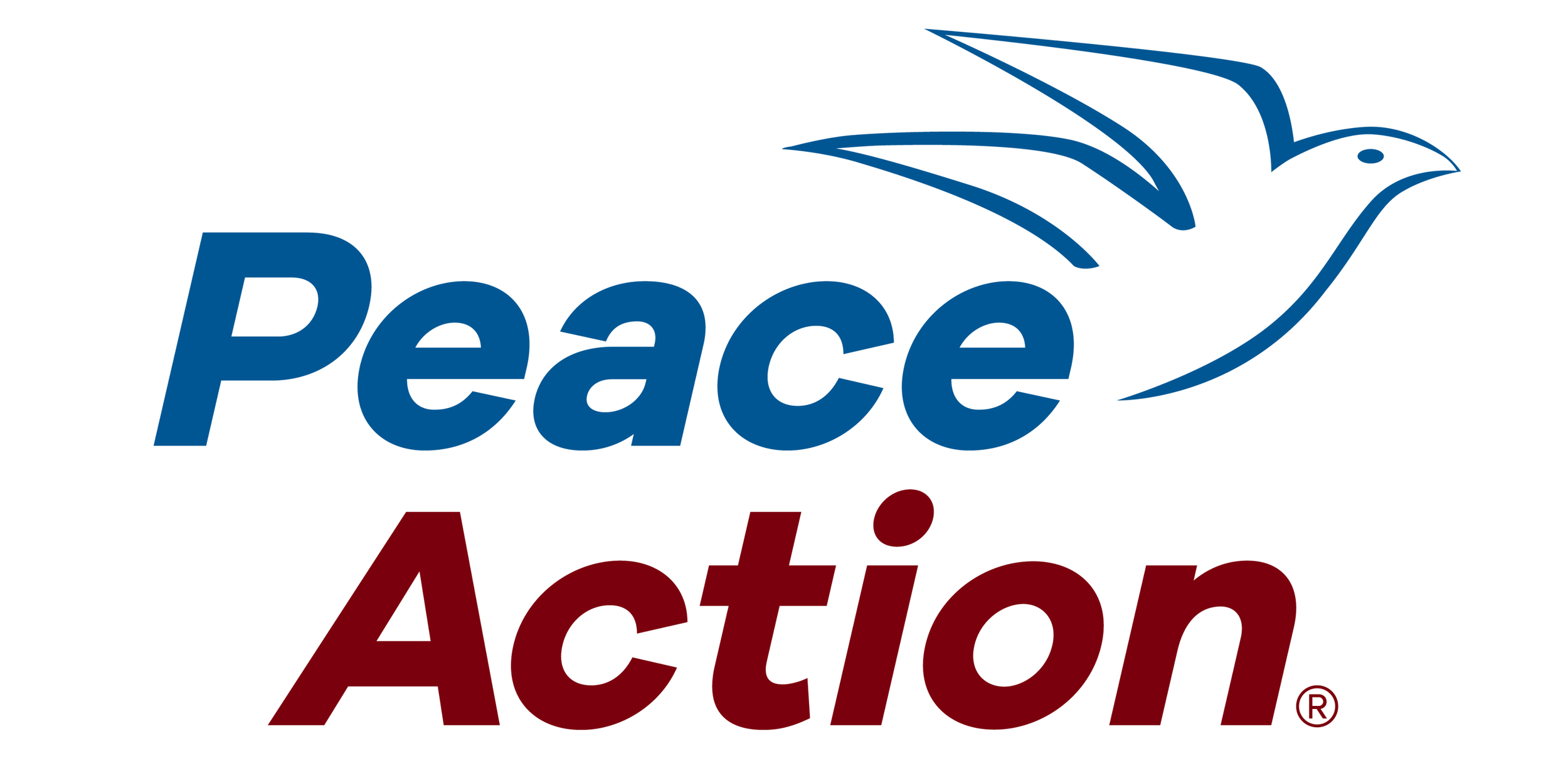 Peace Action.png