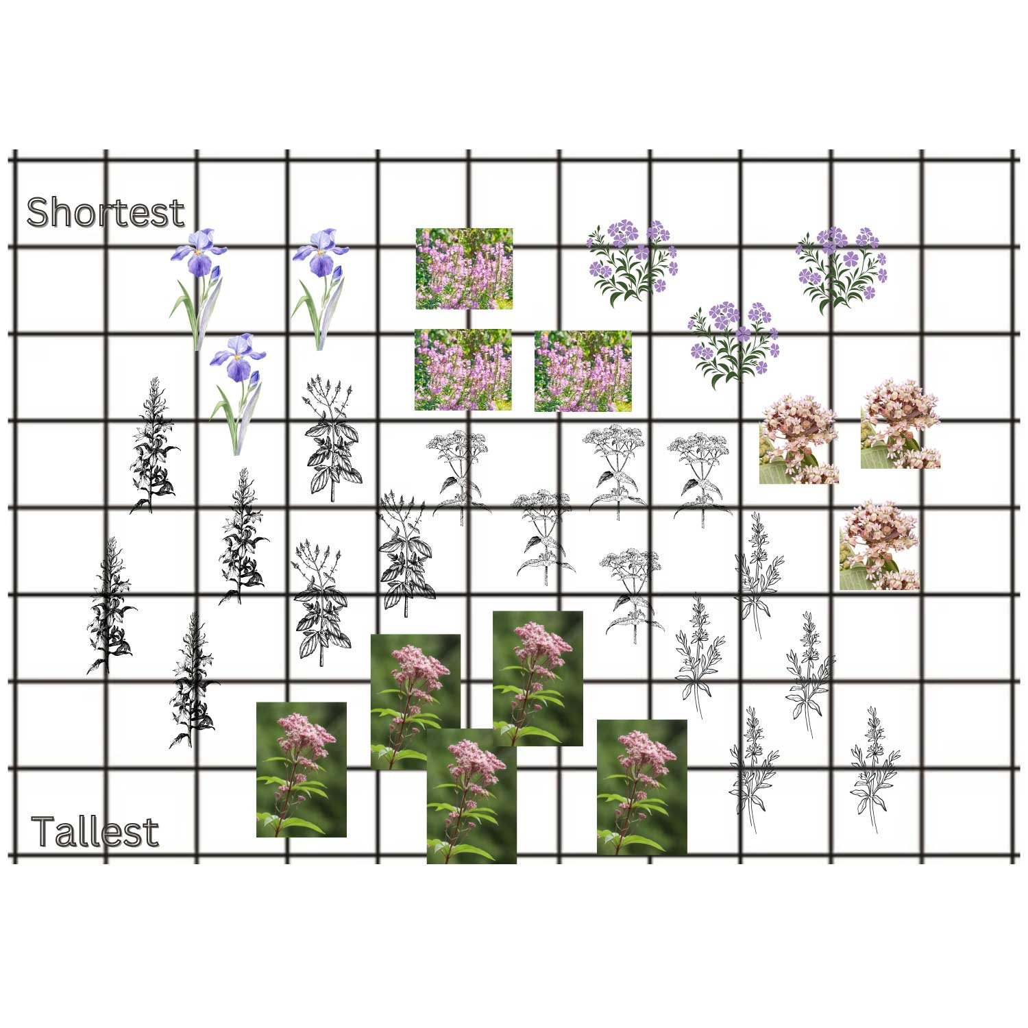 Moist-Meadow-Design.jpg