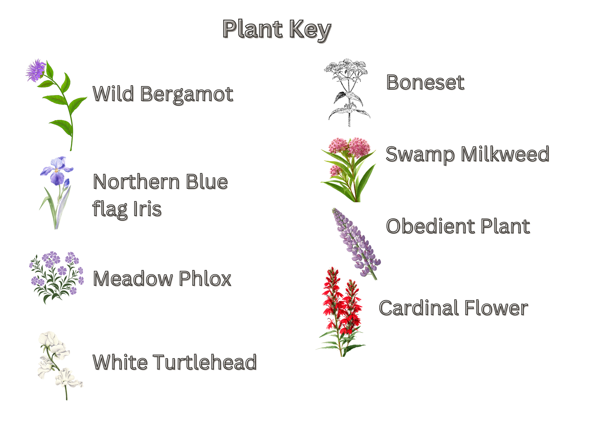 Moist Meadow Key.png