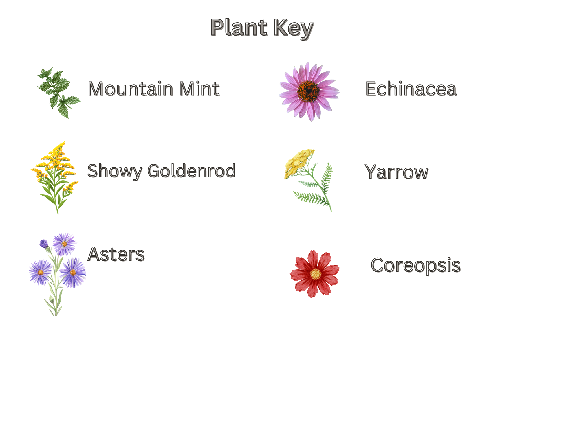 Pollinator Garden #2 Key.png