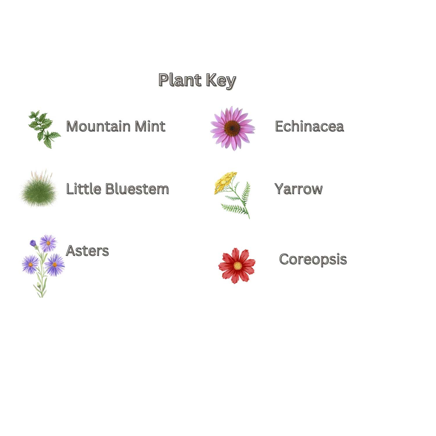 Pollinator-Patch-Key.jpg