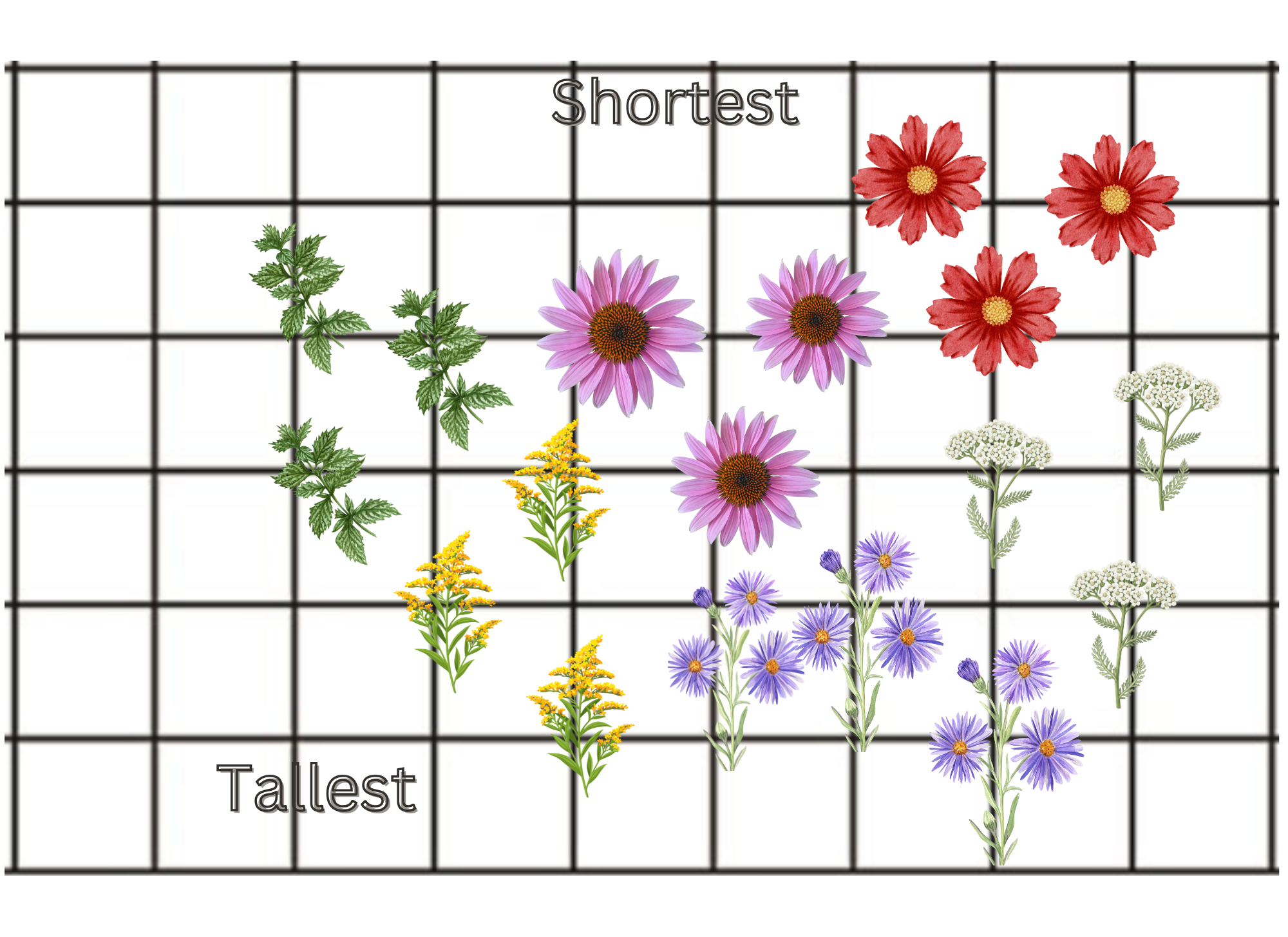 Pollinator Garden #2 Design.png