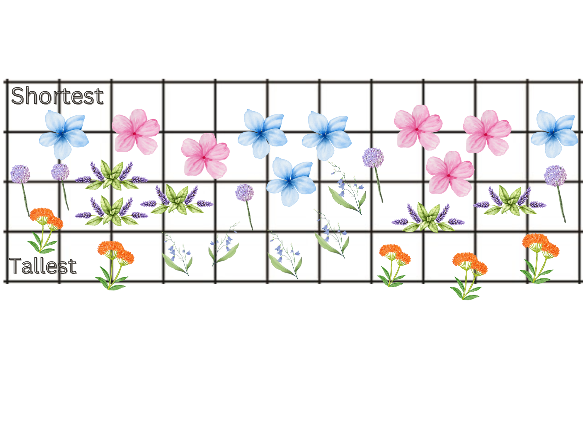 A Sunny Pathway Design.png