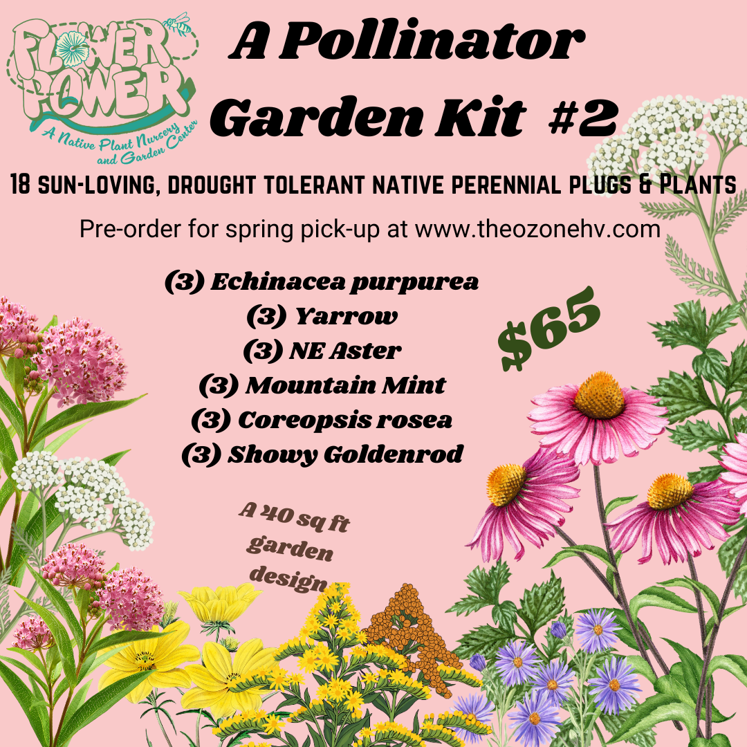 A Pollinator Garden Kit: #2