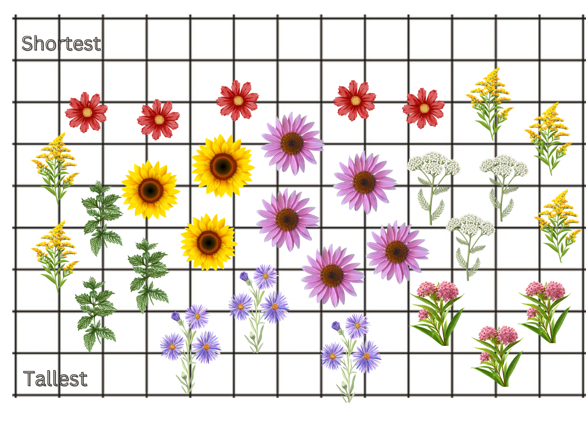 Pollinator Garden #1 Design.png