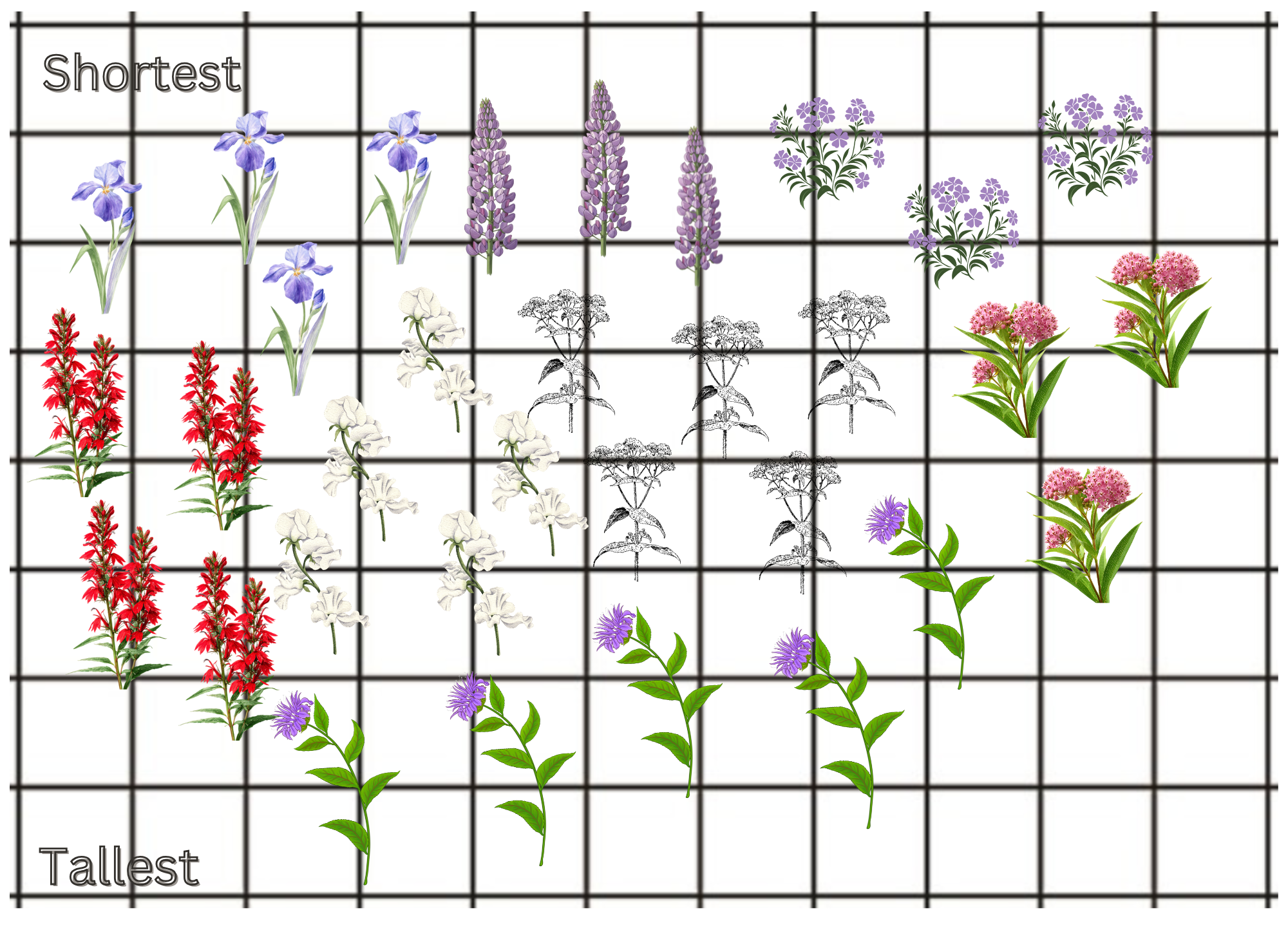 Moist Meadow Design.png