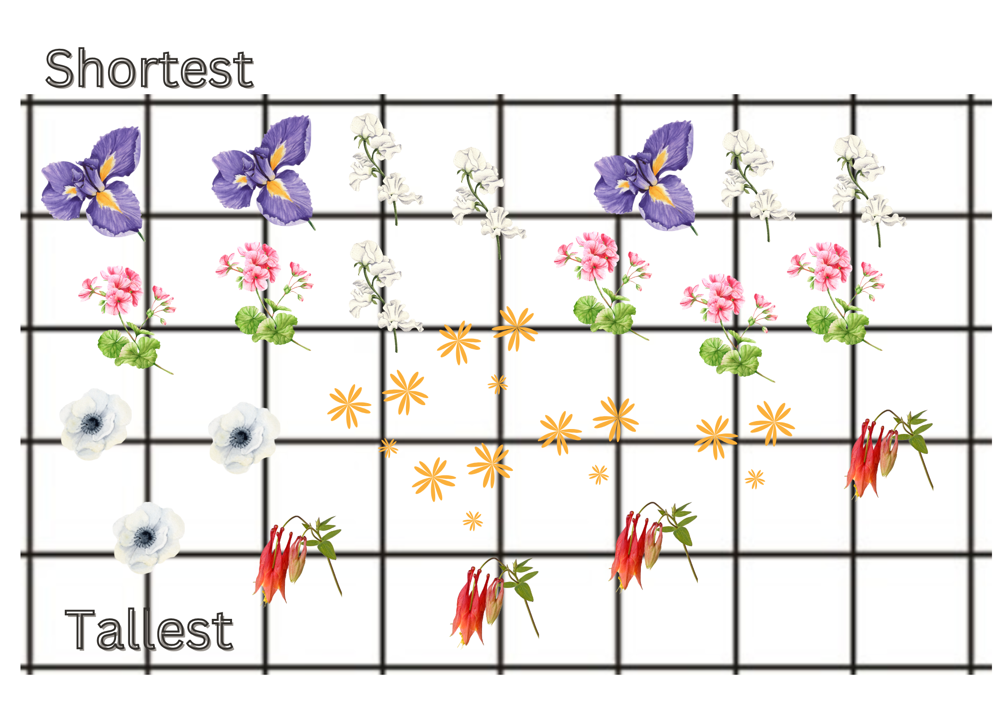 A Moist Woodland Design.png