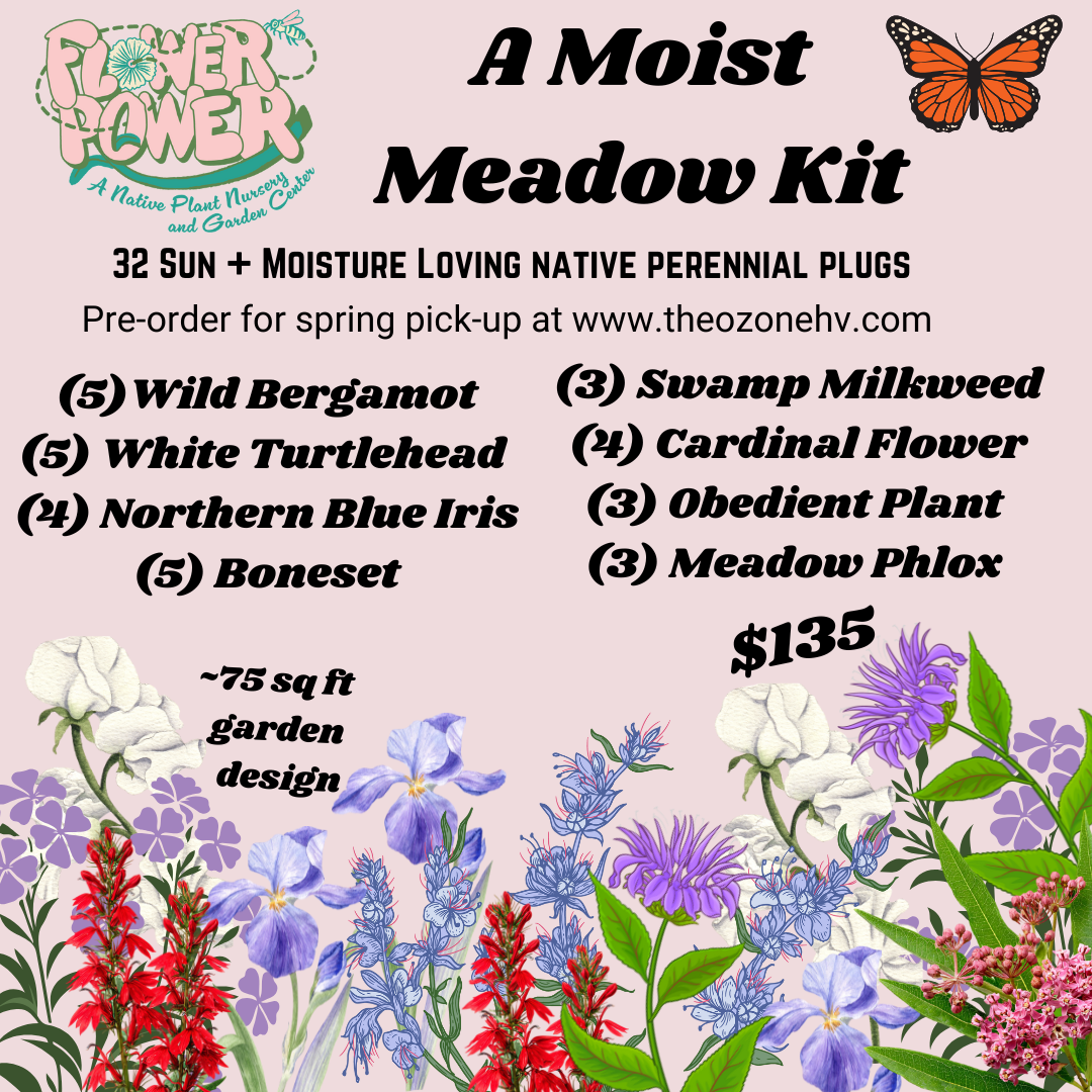 Moist Meadow Kit.png
