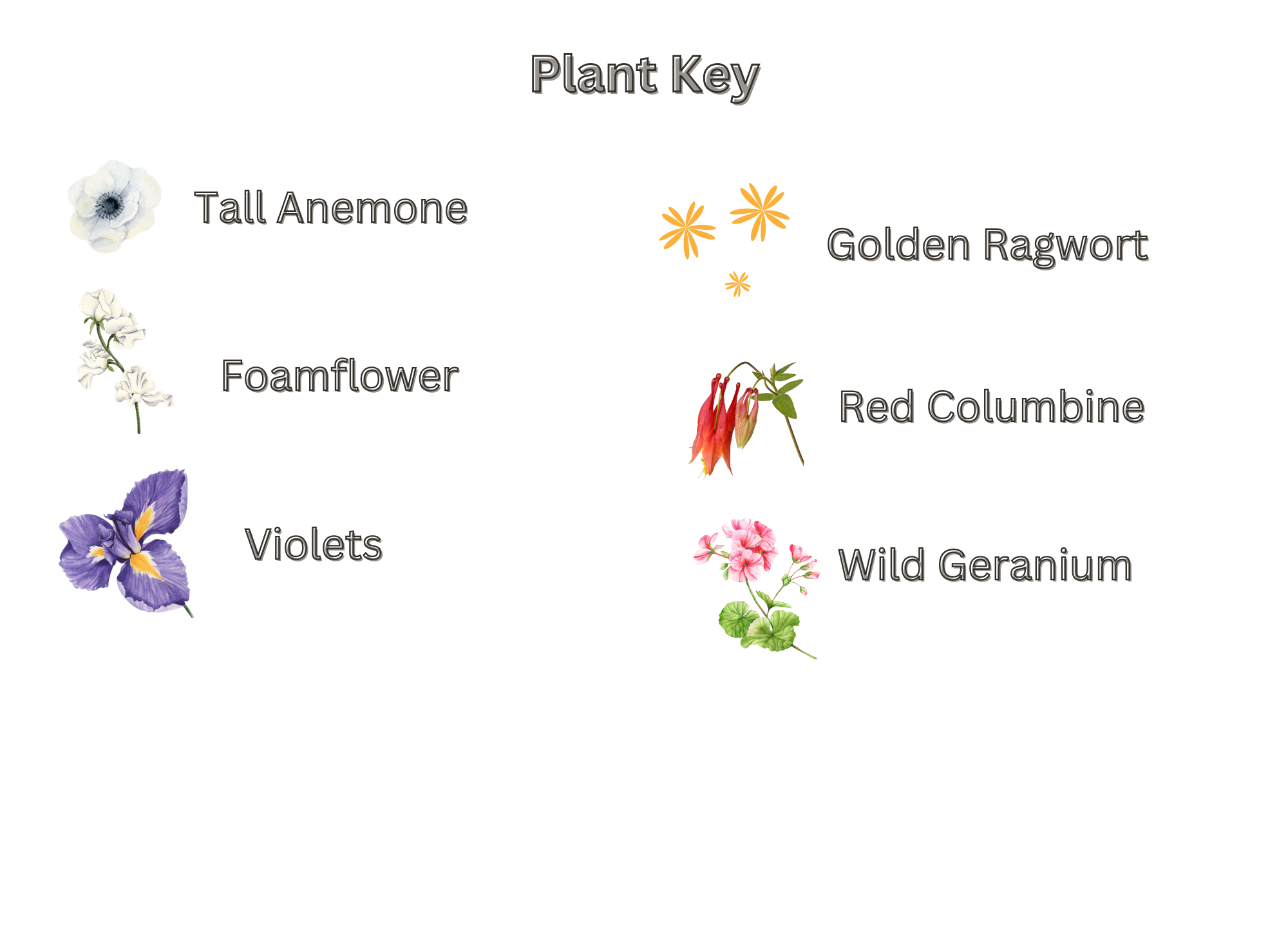 Dappled Moist Woodland Key.png