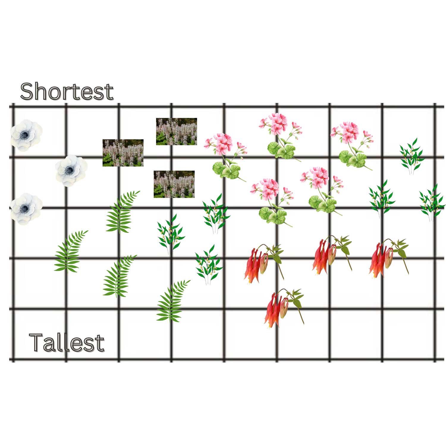 A-Moist-Woodland-Design.jpg