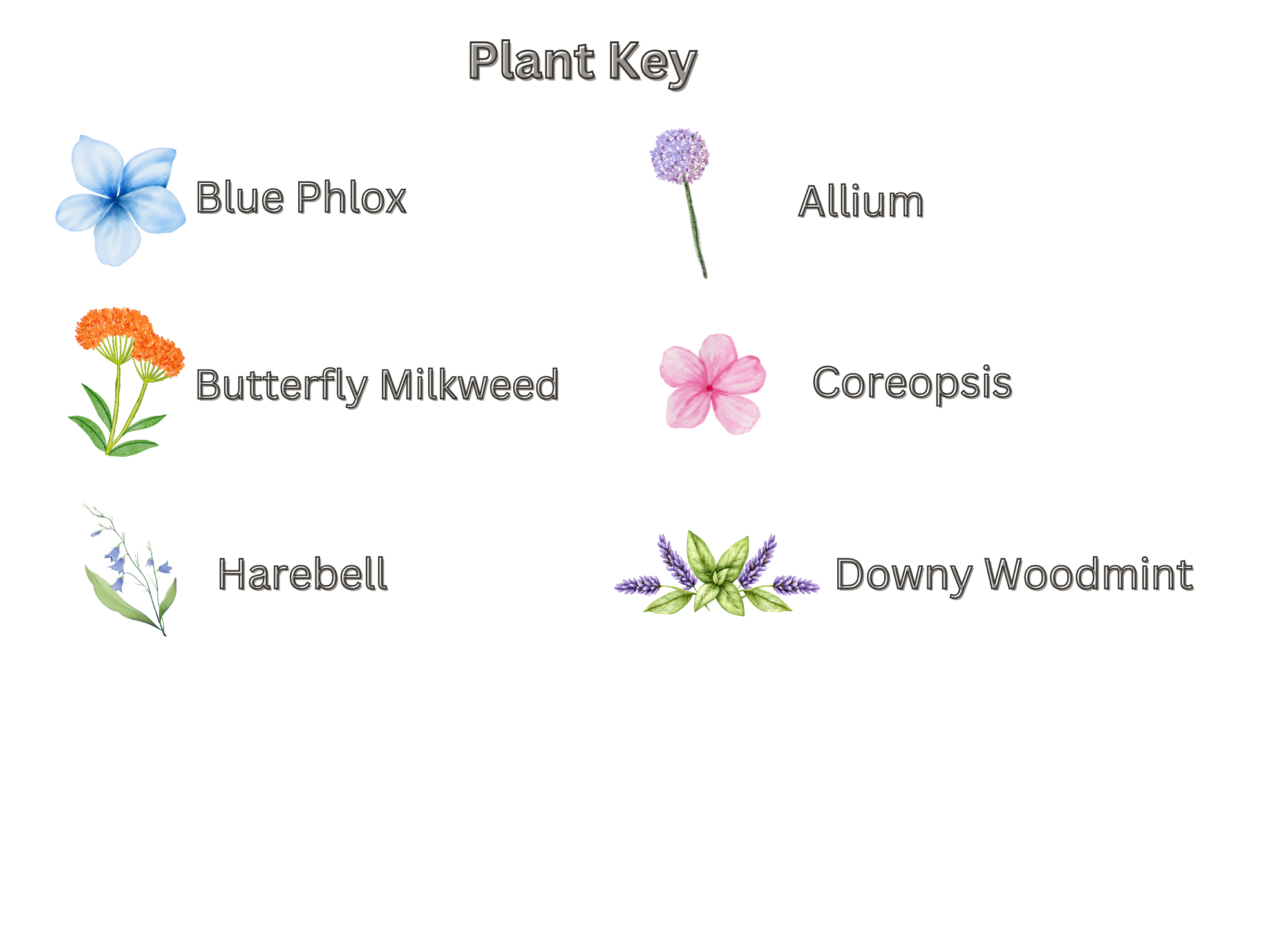 A Sunny Pathway Key.png