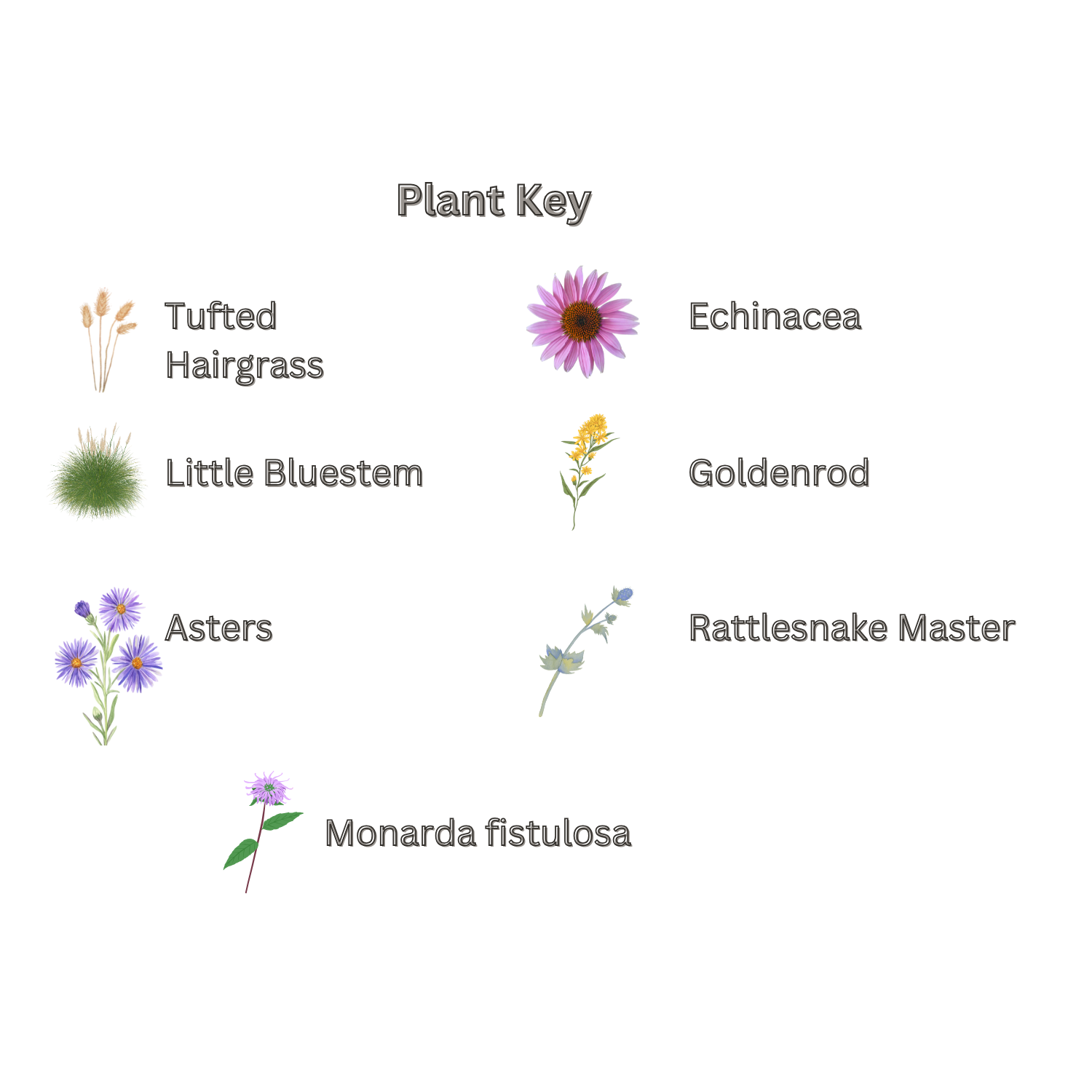A Native Meadow Key.png
