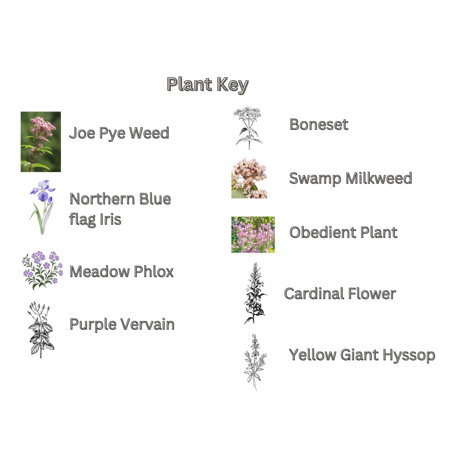 Moist-Meadow-Key.jpg