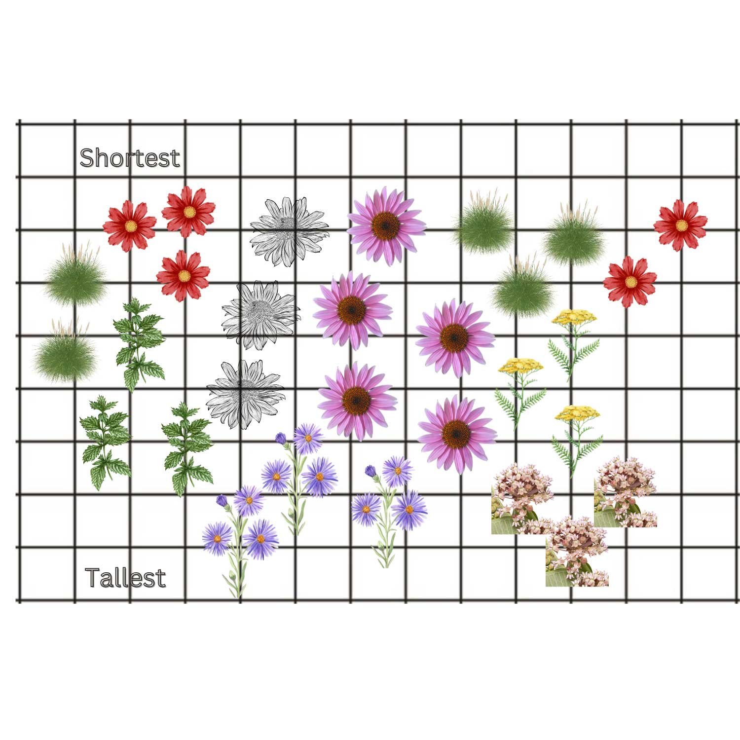 Pollinator-Garden-Design.jpg