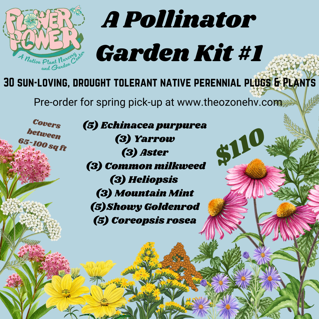 A Pollinator Garden Kit: #1