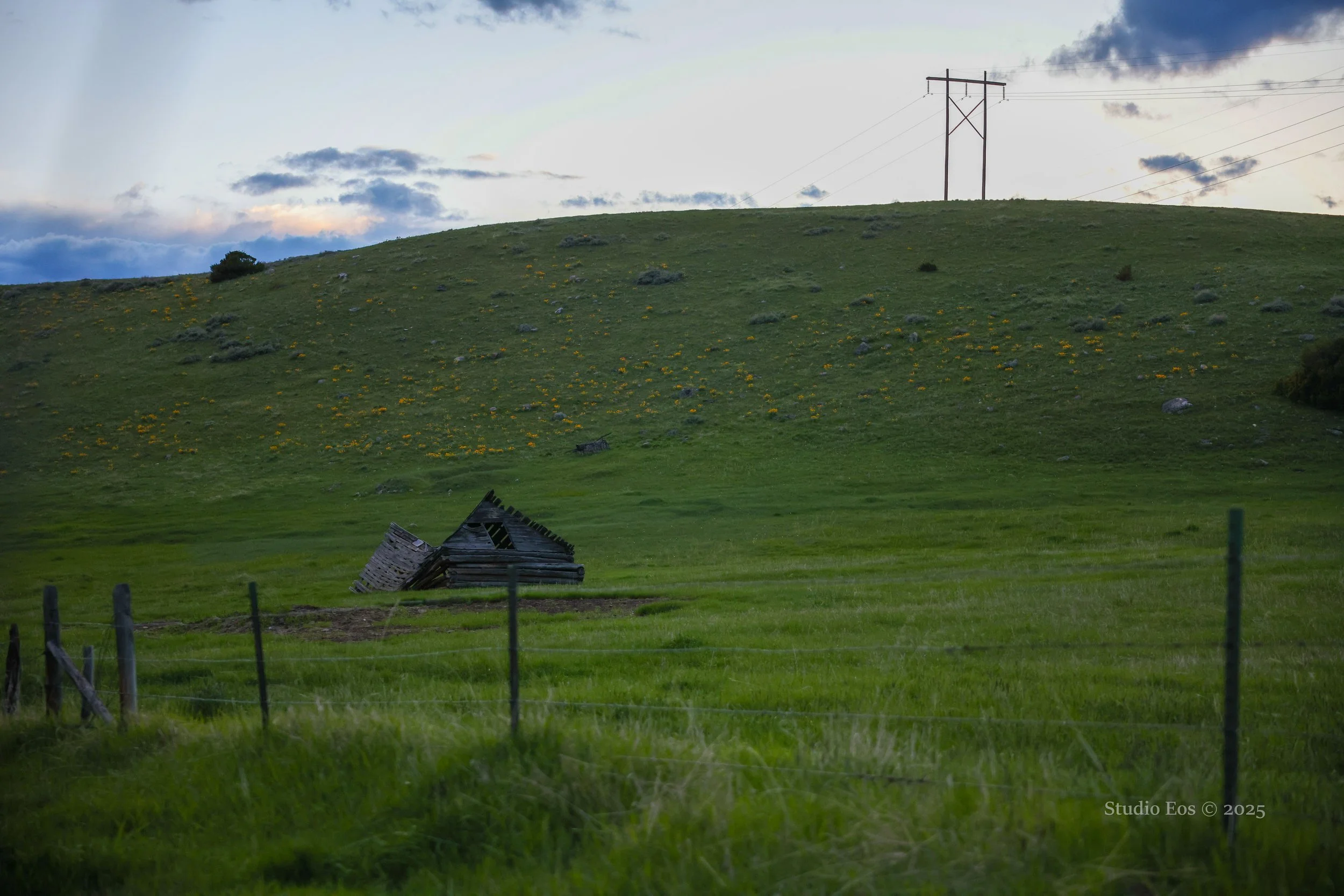 20250519-IMGL1385-2.jpg