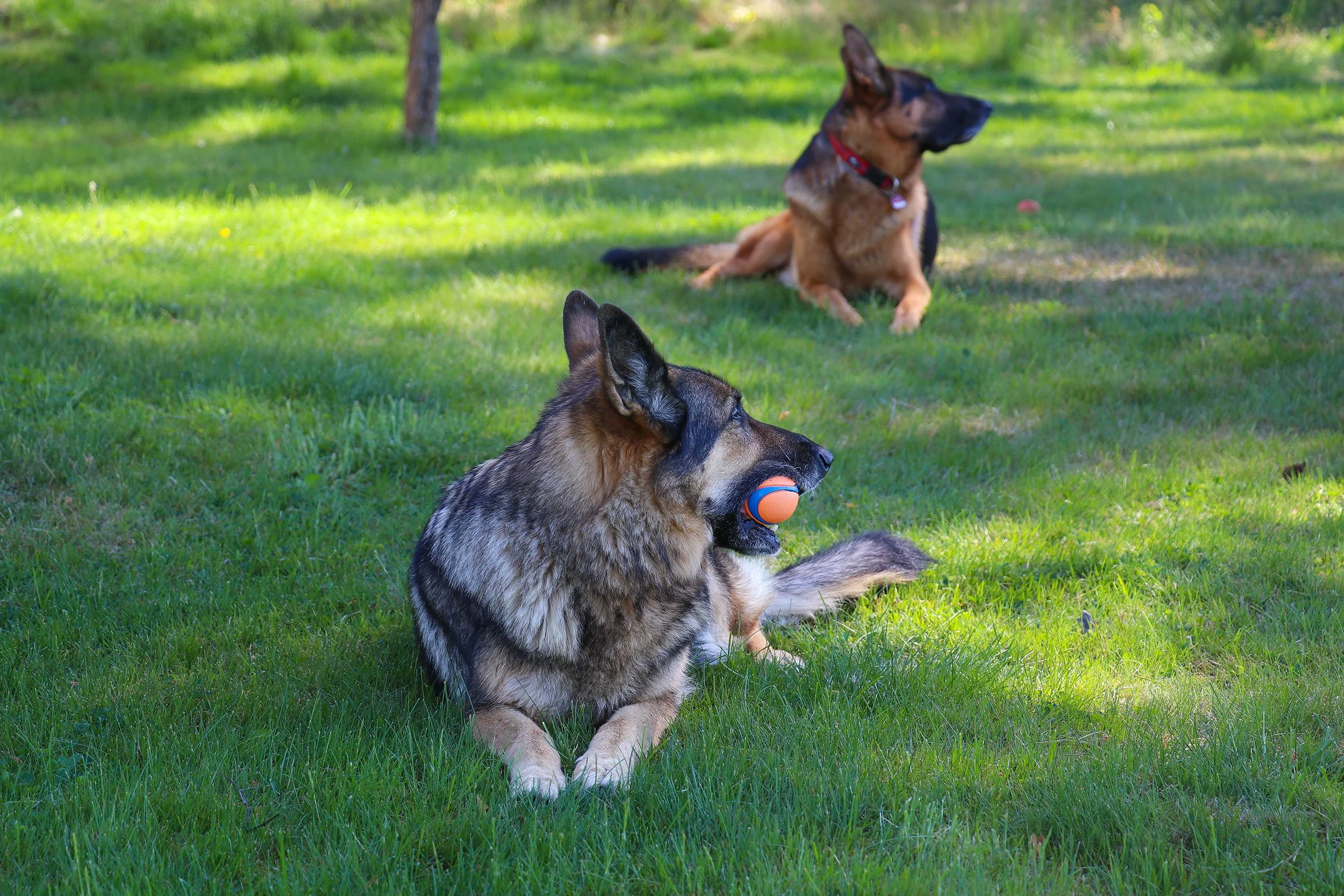 Frühlingsgefühle in Schweden