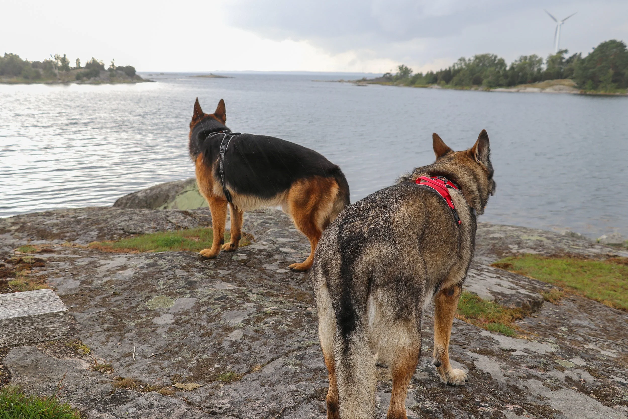 Endlich wieder Schweden