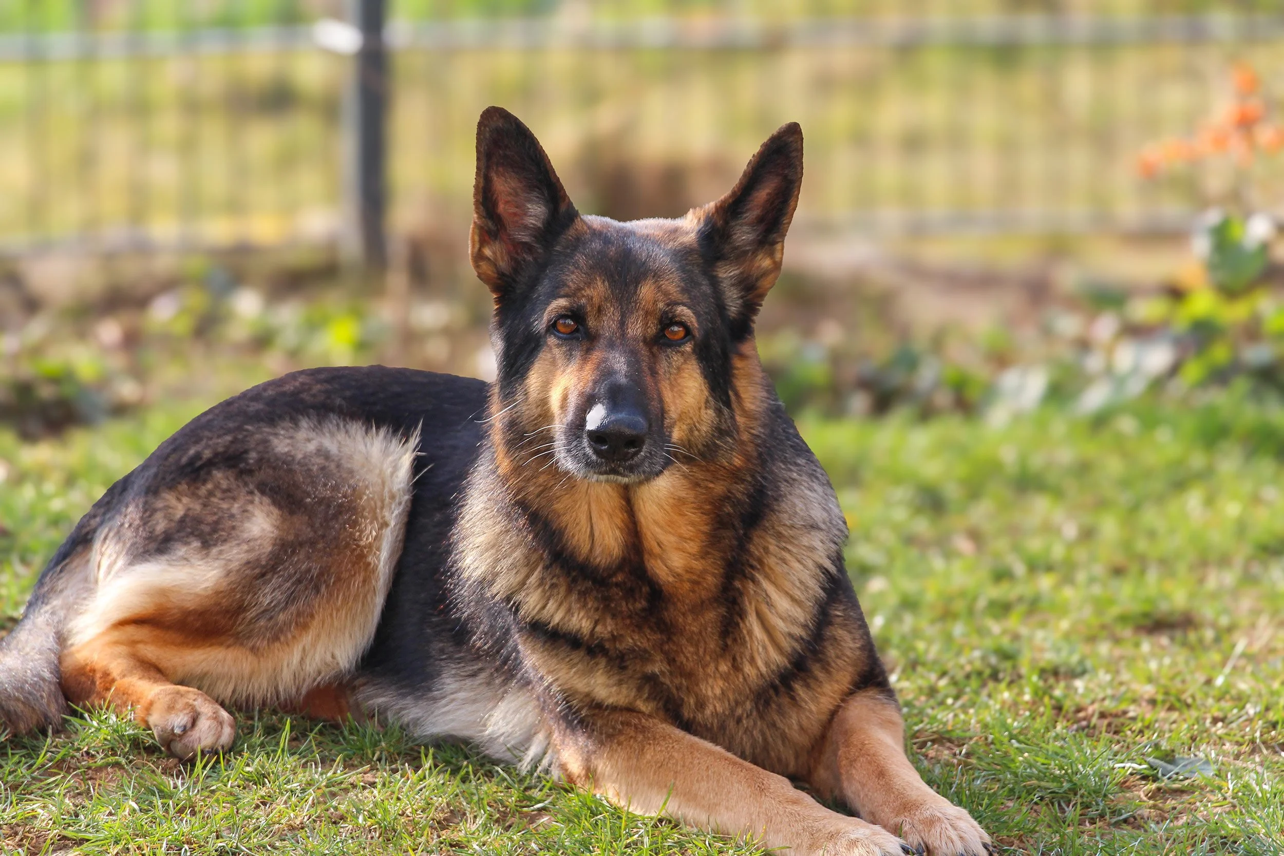 Komme ich da jemals wieder raus?