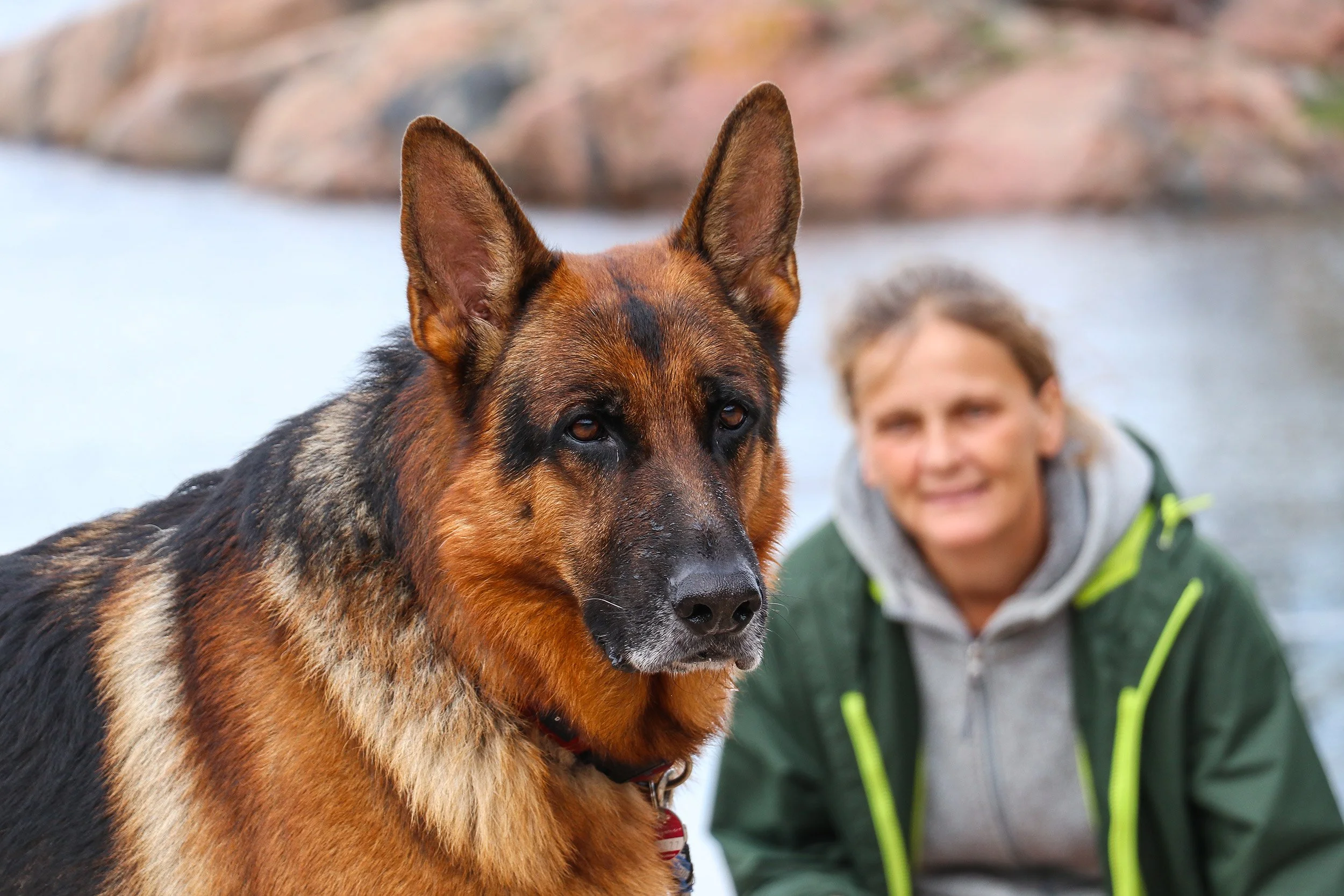 Schäferhund Merlin vom Hammelsbacher Hof zusammen mit seinem Frauchen.