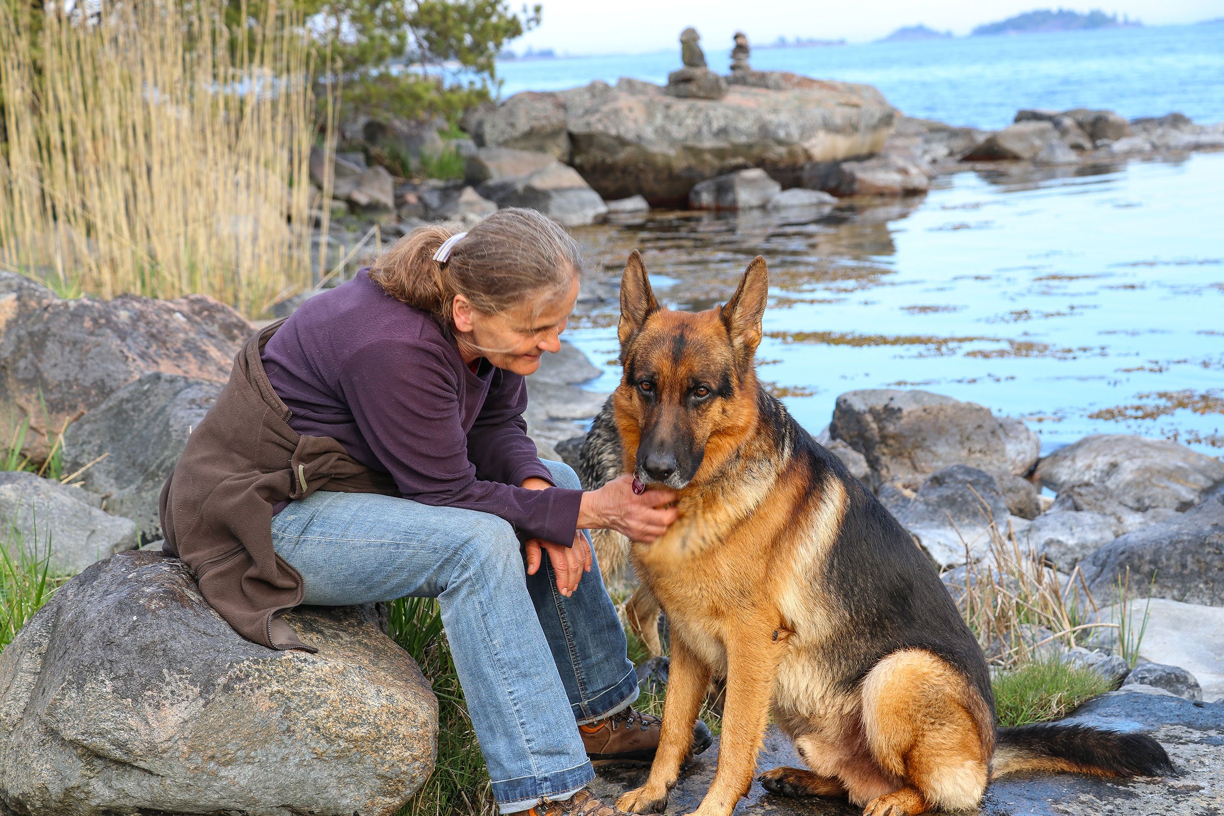 Schäferhund Merlin vom Hammelsbacher Hof wird von Frauchen gestreichelt.