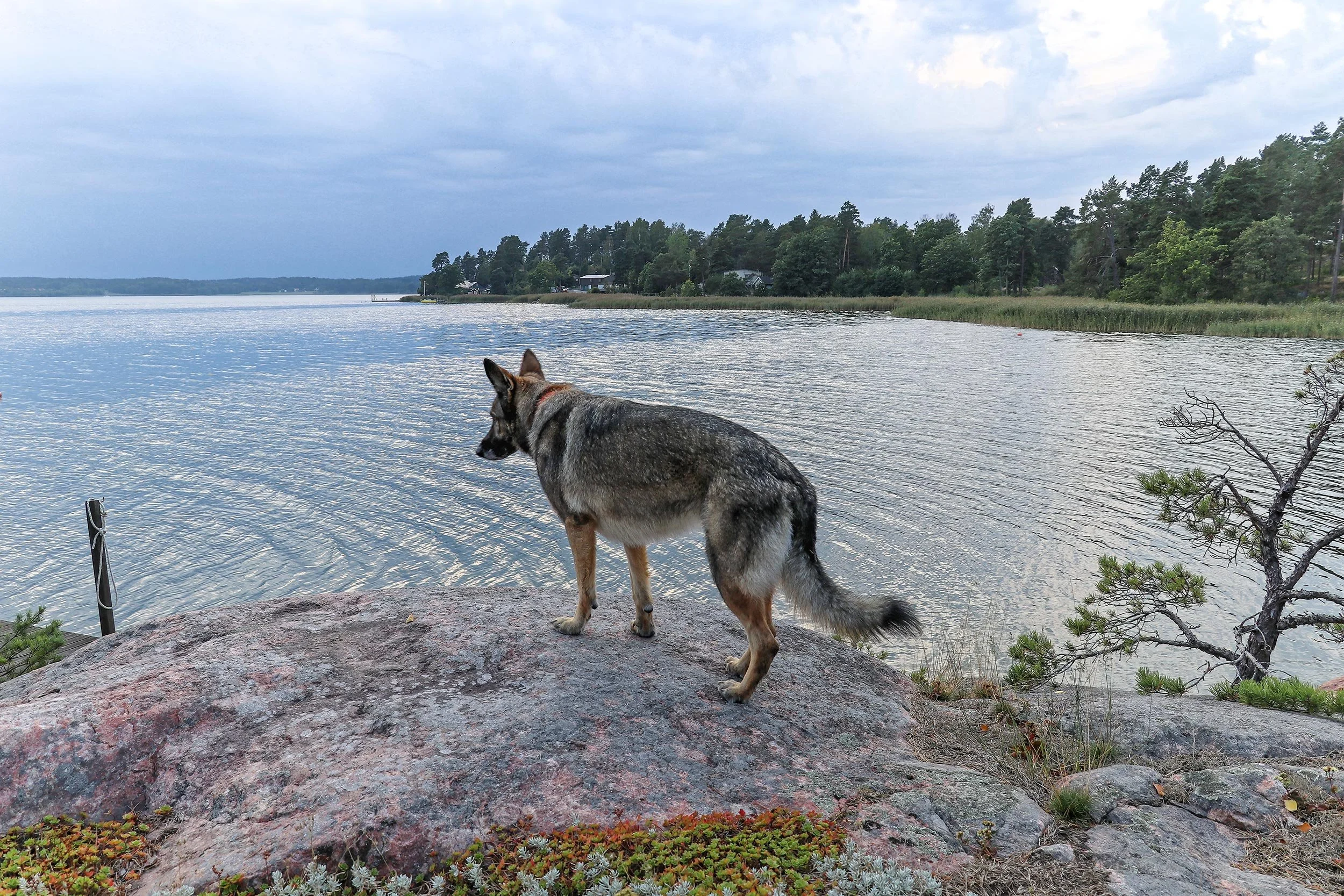 2019-08-Nykoeping-FH-Fredoen-428-LrC-2500.jpg