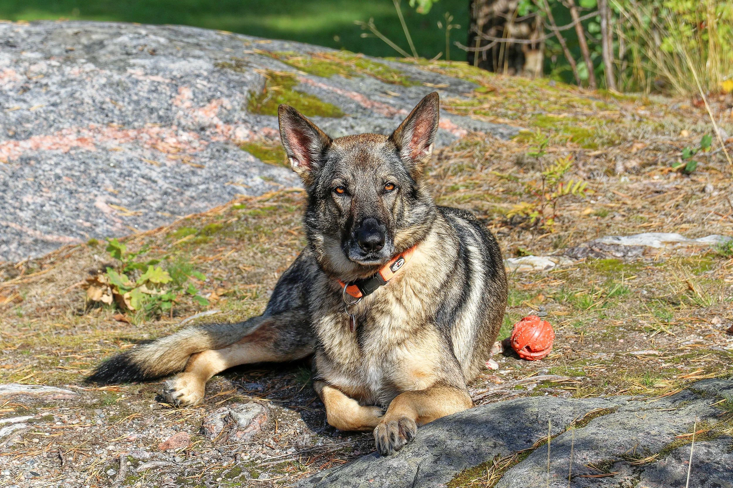 2019-08-Nykoeping-FH-Fredoen-022-LrC-2500.jpg