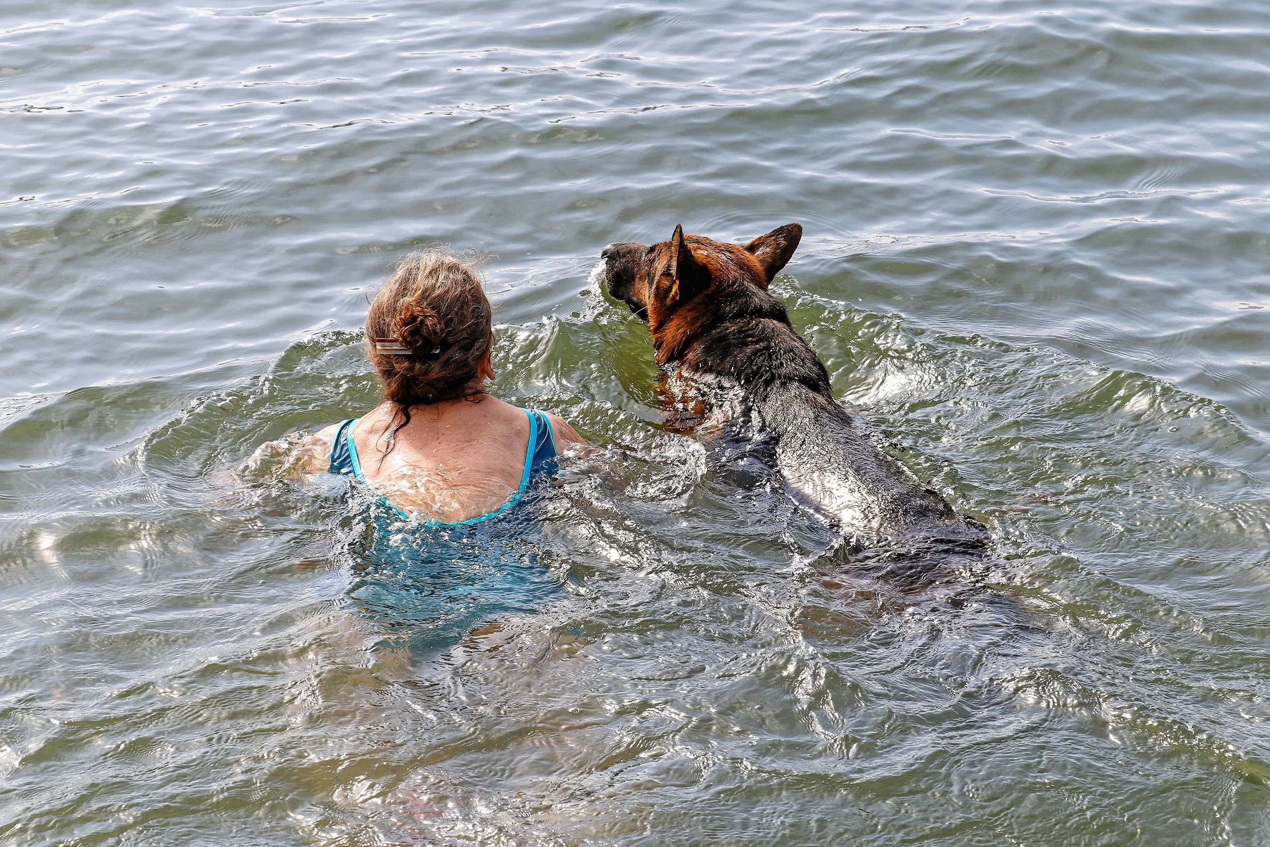 Schäferhund Merlin vom Hammelsbacher Hof schwimmt mit seinem Frauchen in der Ostsee.