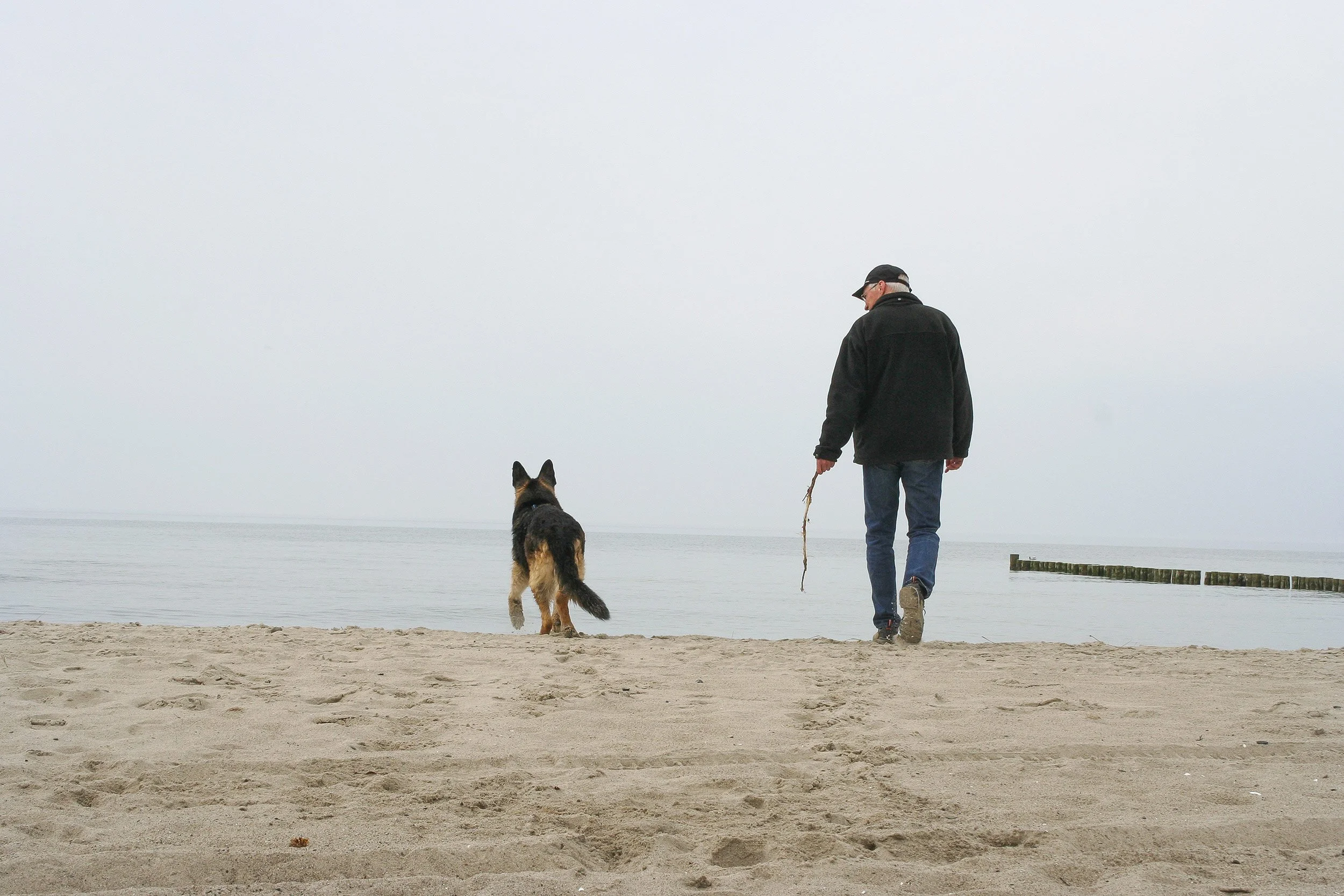 Schäferhund Asco und Herrchen spielen am Strand an der Ostsee.