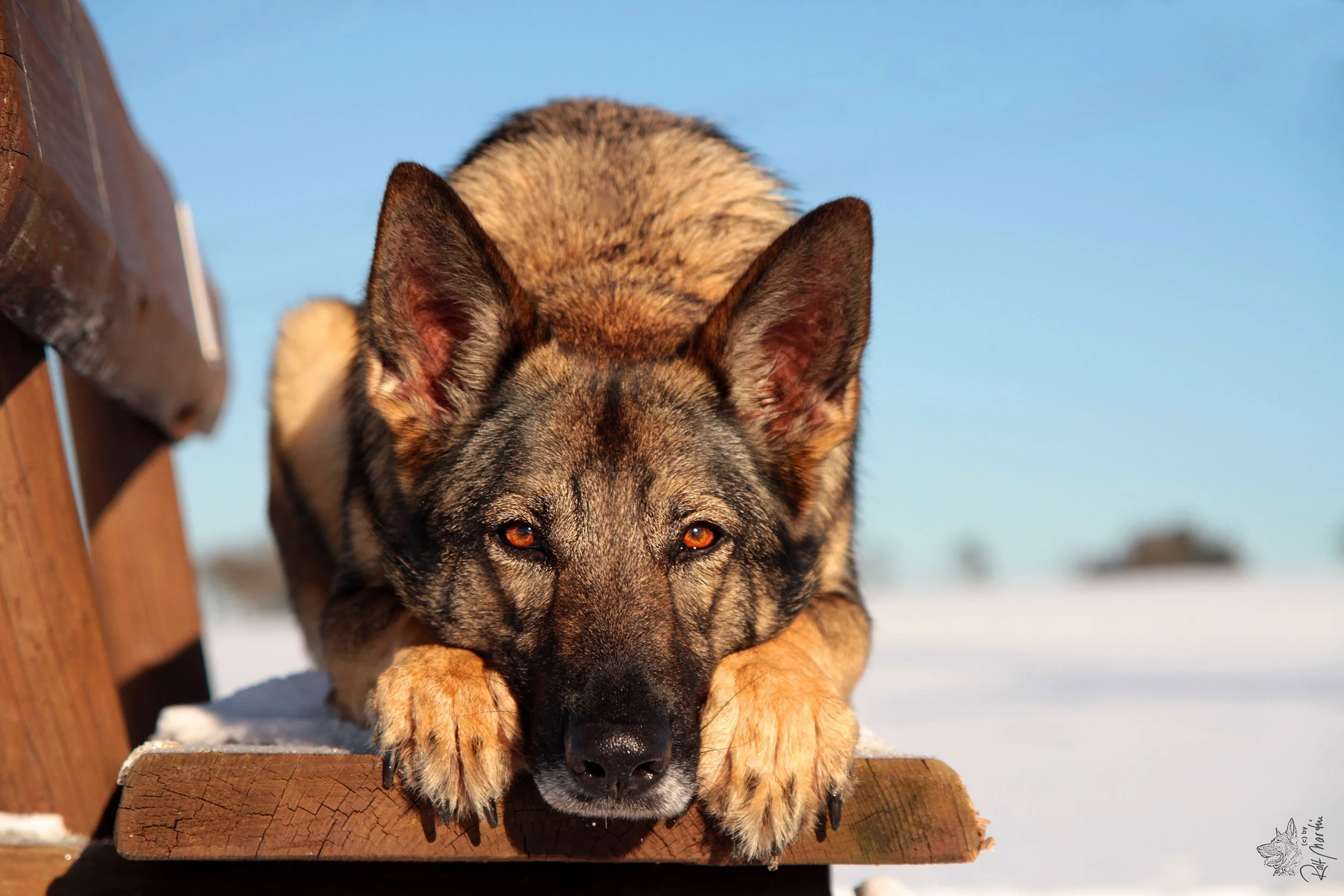 Bekomme ich eine neue Chefin?