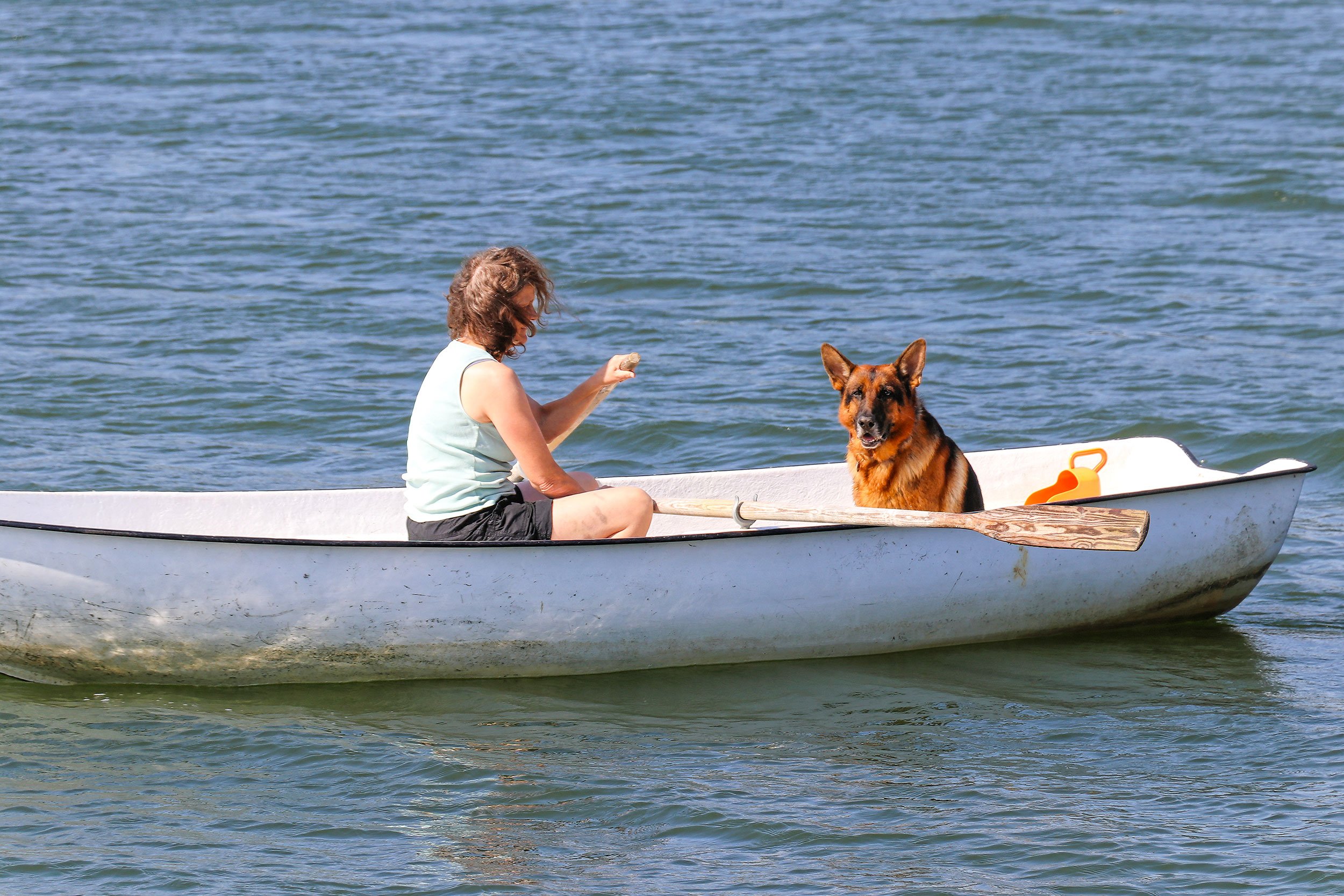 Schäferhund Merlin vom Hammelsbacher Hof sitzt zusammen mit seinem Frauchen in einem Ruderboot.