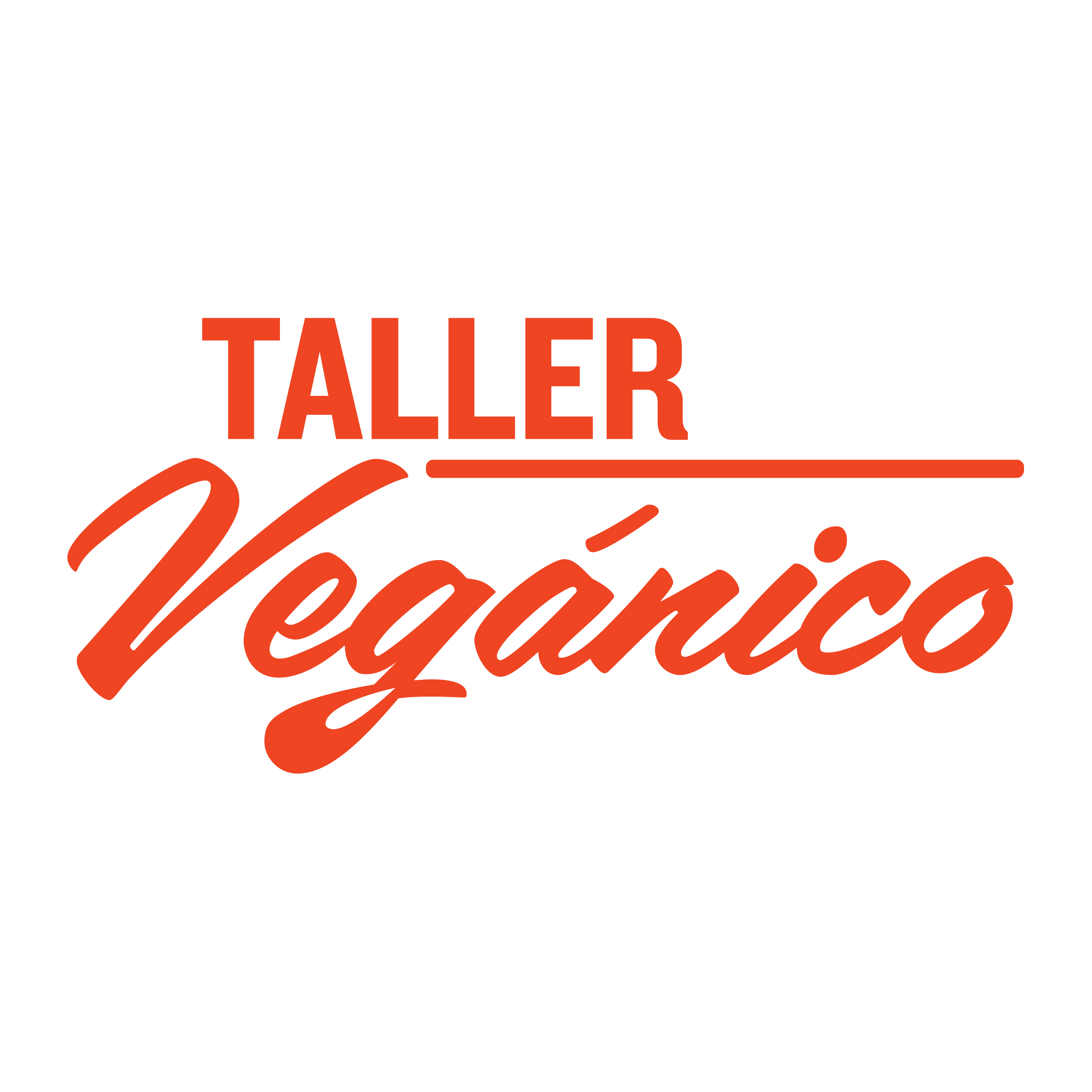 TALLER VEGÁNICO