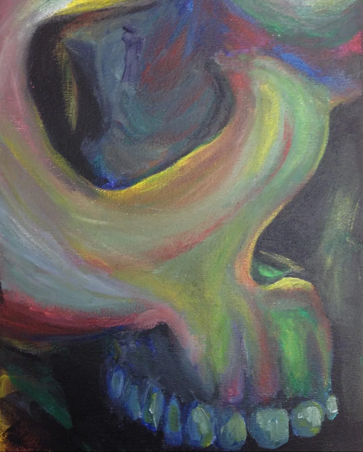 Study of the Human Skull