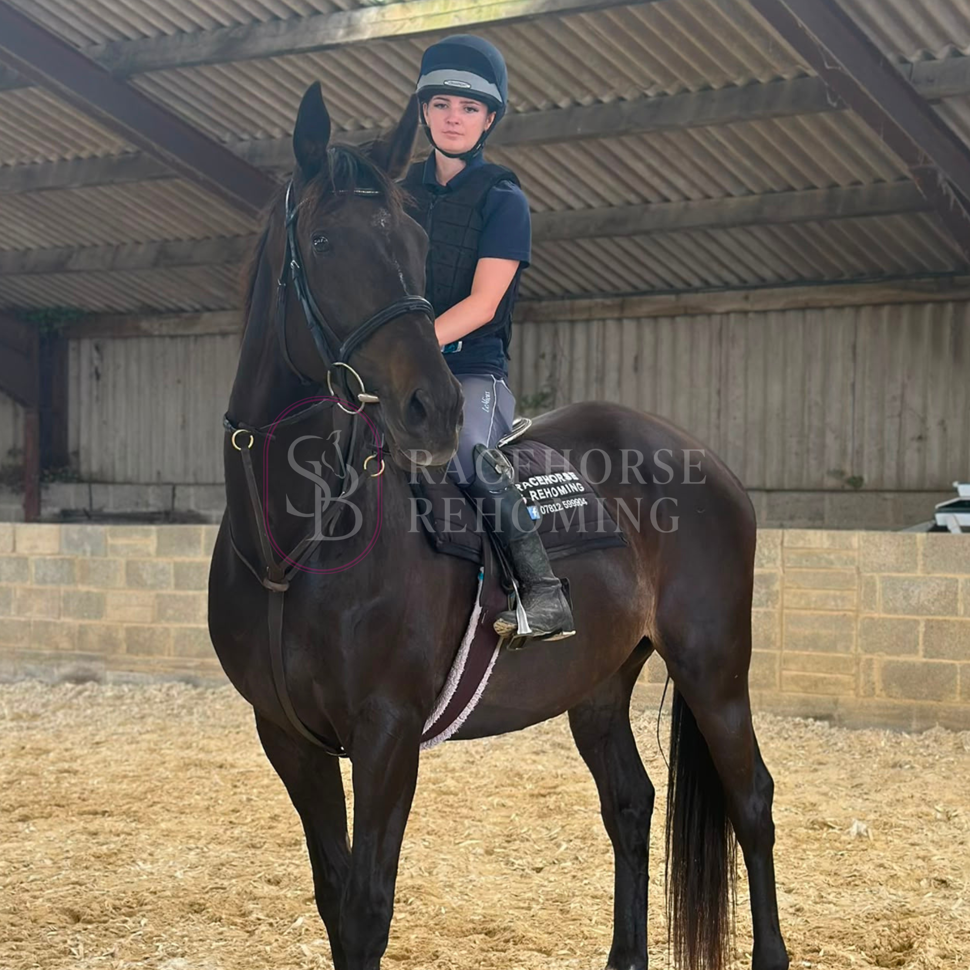 Merlin/Big Fella [Mahlers First]