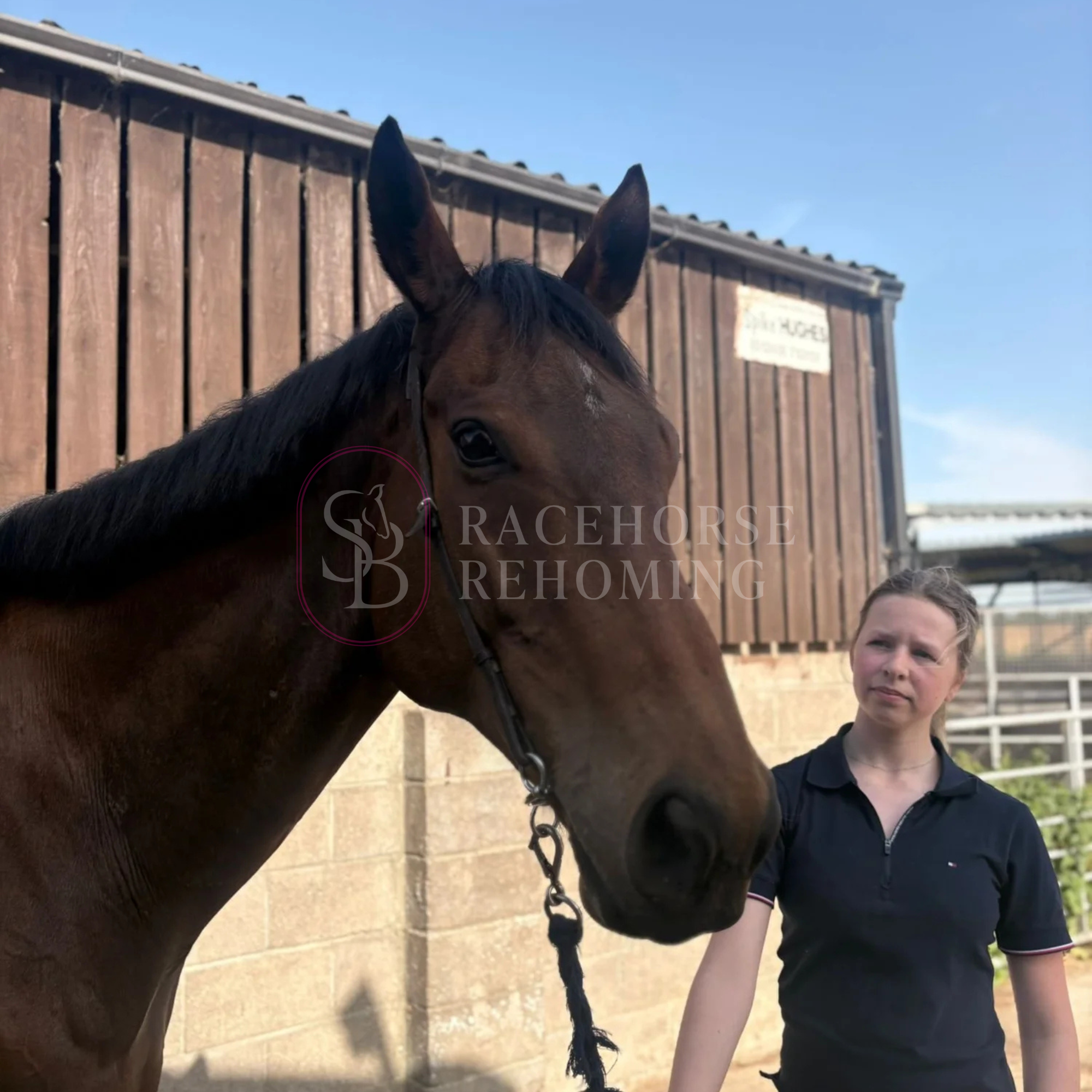 Dessie_Watermark (4).png