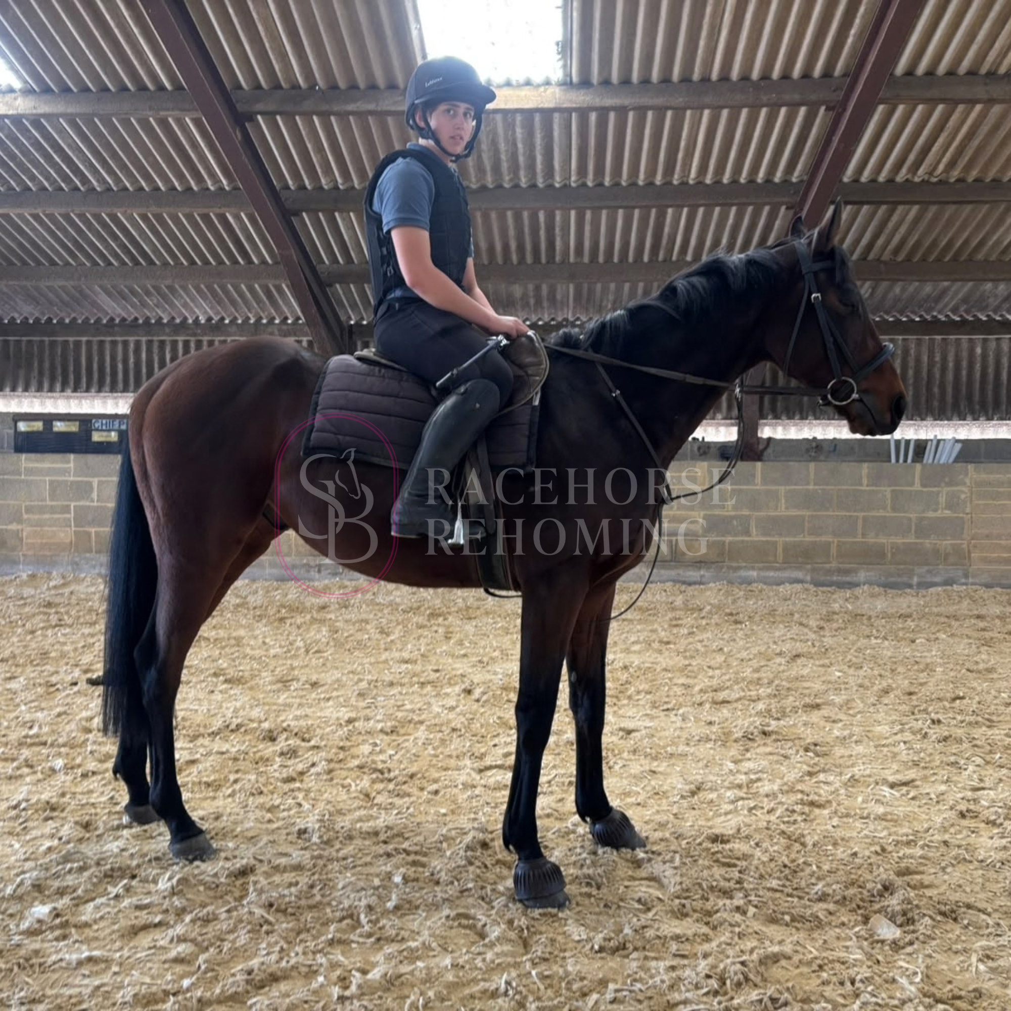 GUY_watermark (4).png