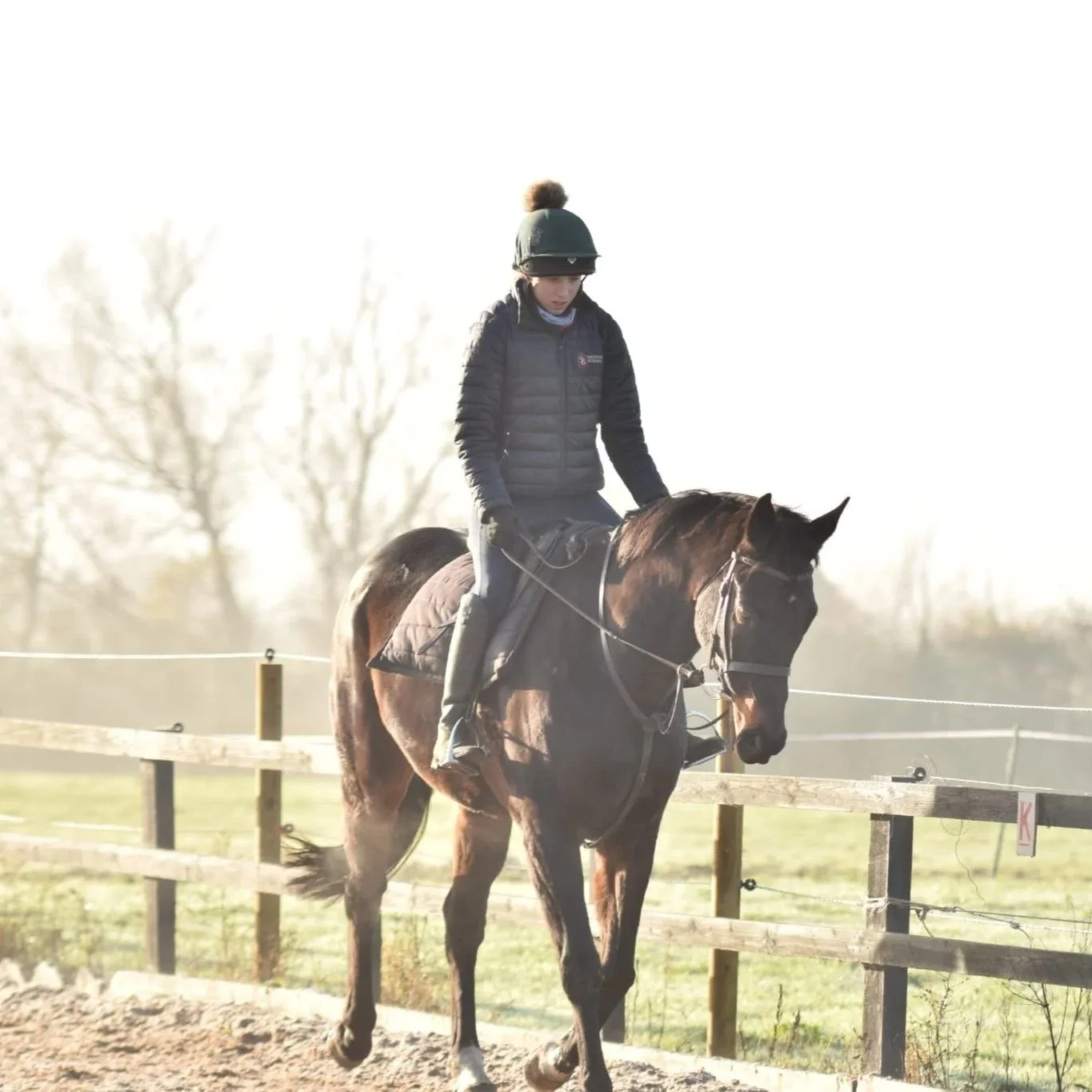 Autumn/Winter 2025 Newsletter