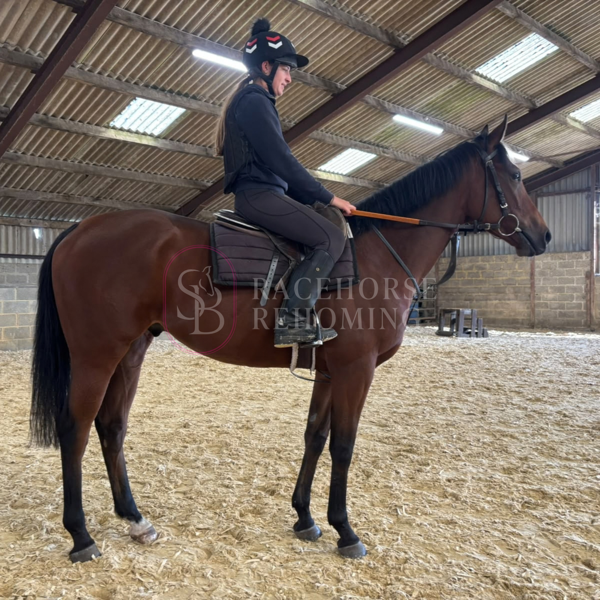 OLIVER_watermark (4).png