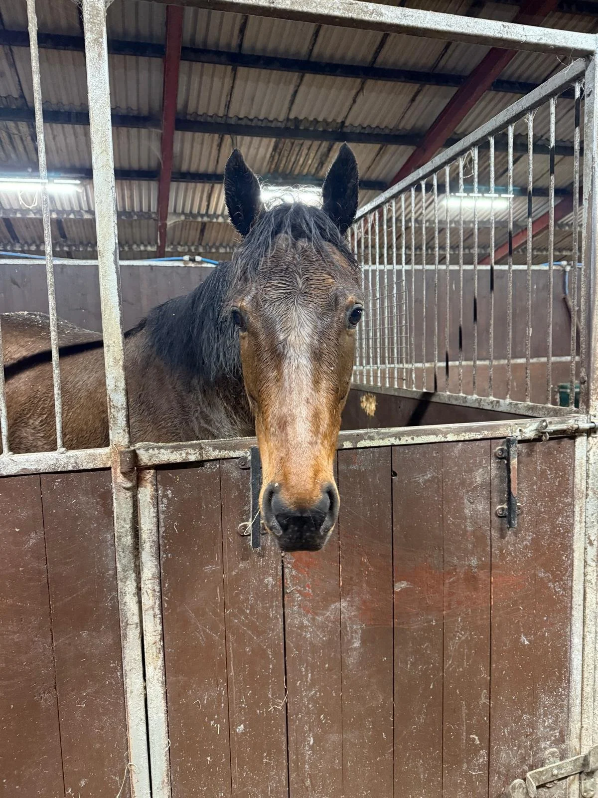 WhatsApp Image 2025-12-01 at 5.38.04 PM.jpeg