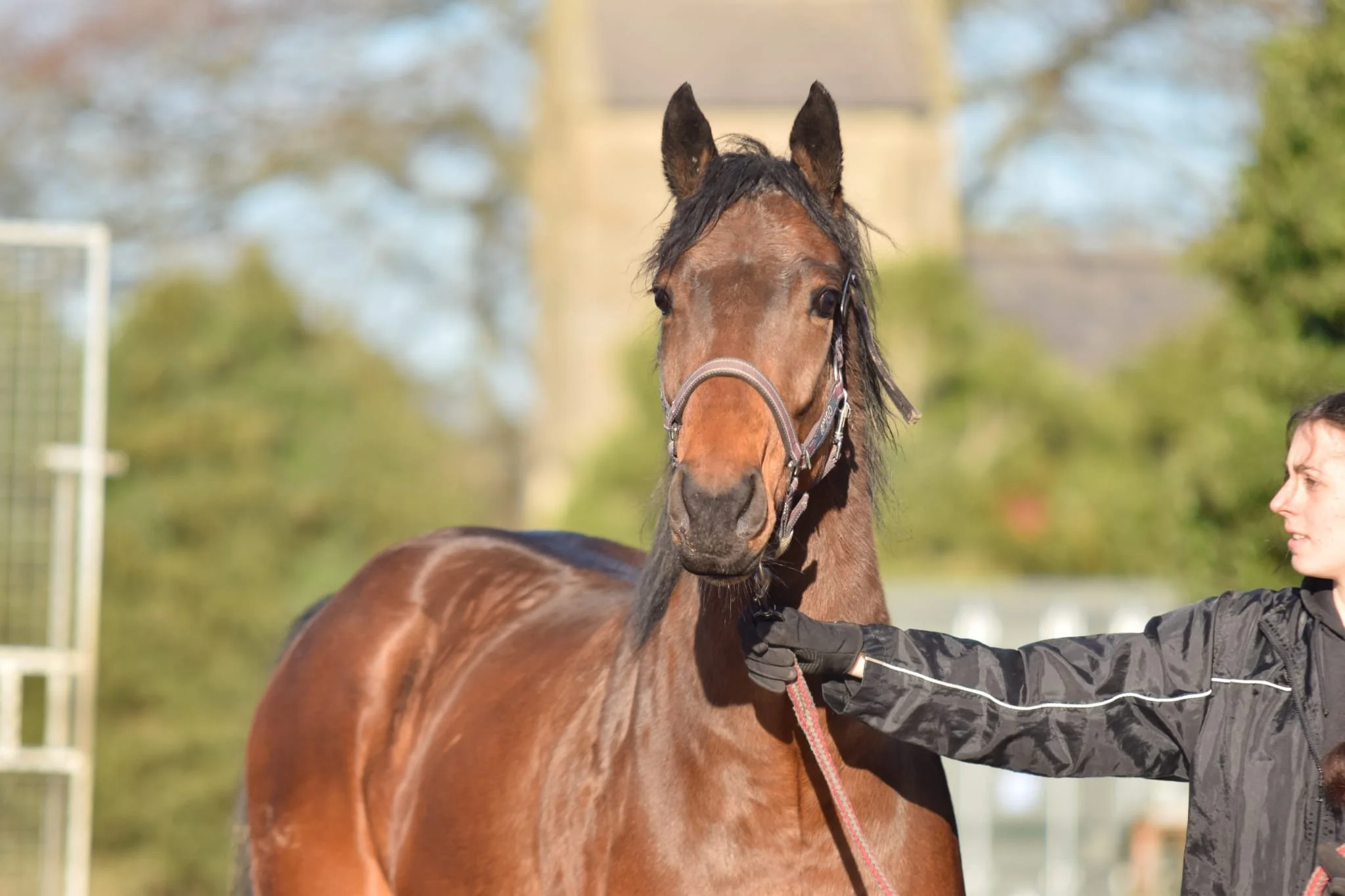 WhatsApp Image 2025-12-03 at 3.41.58 PM.jpeg