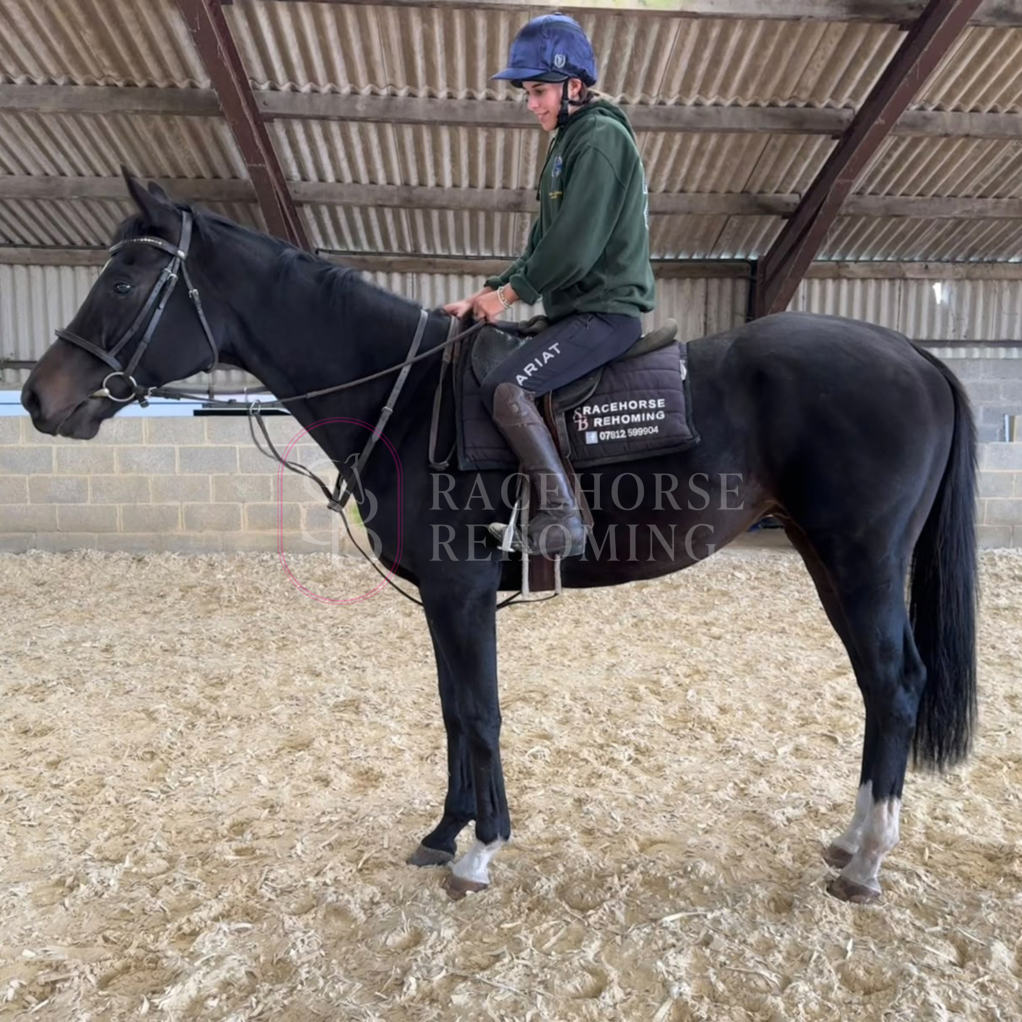 Onslow_watermark (3).png