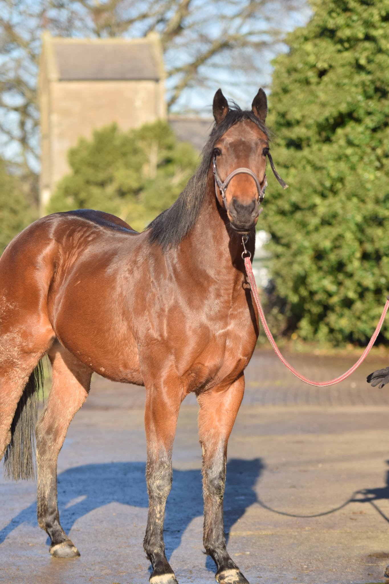 WhatsApp Image 2025-12-03 at 3.41.57 PM.jpeg