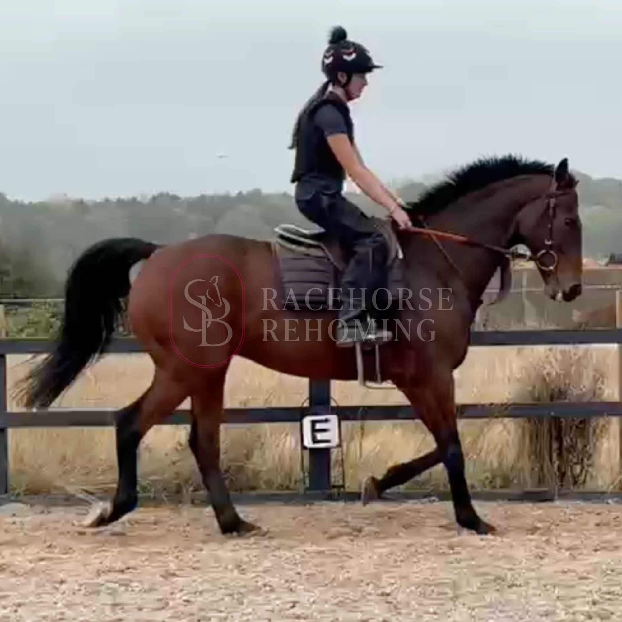 Brian [Colemanstown Lad]