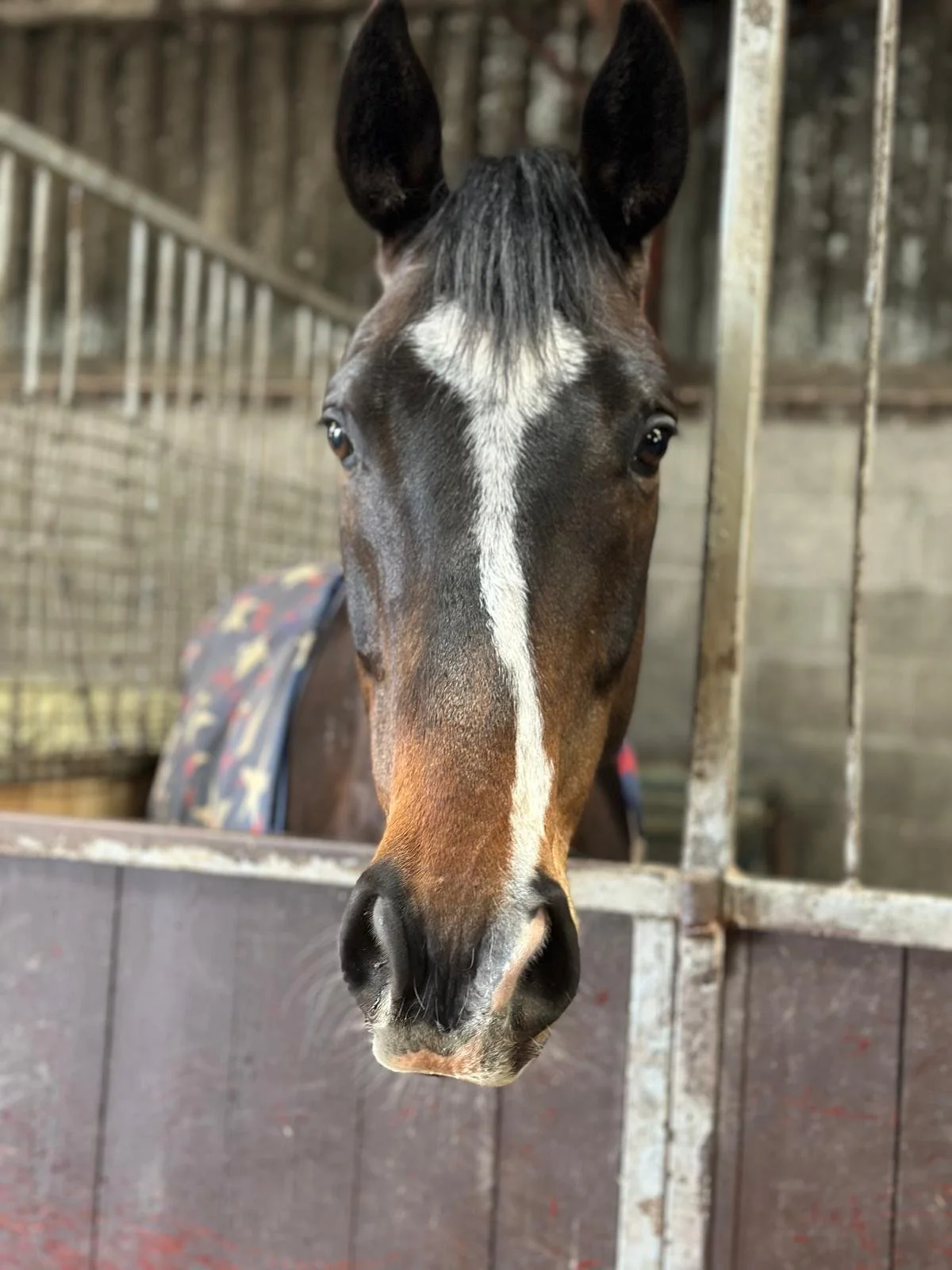 WhatsApp Image 2026-04-11 at 7.13.41 AM.jpeg