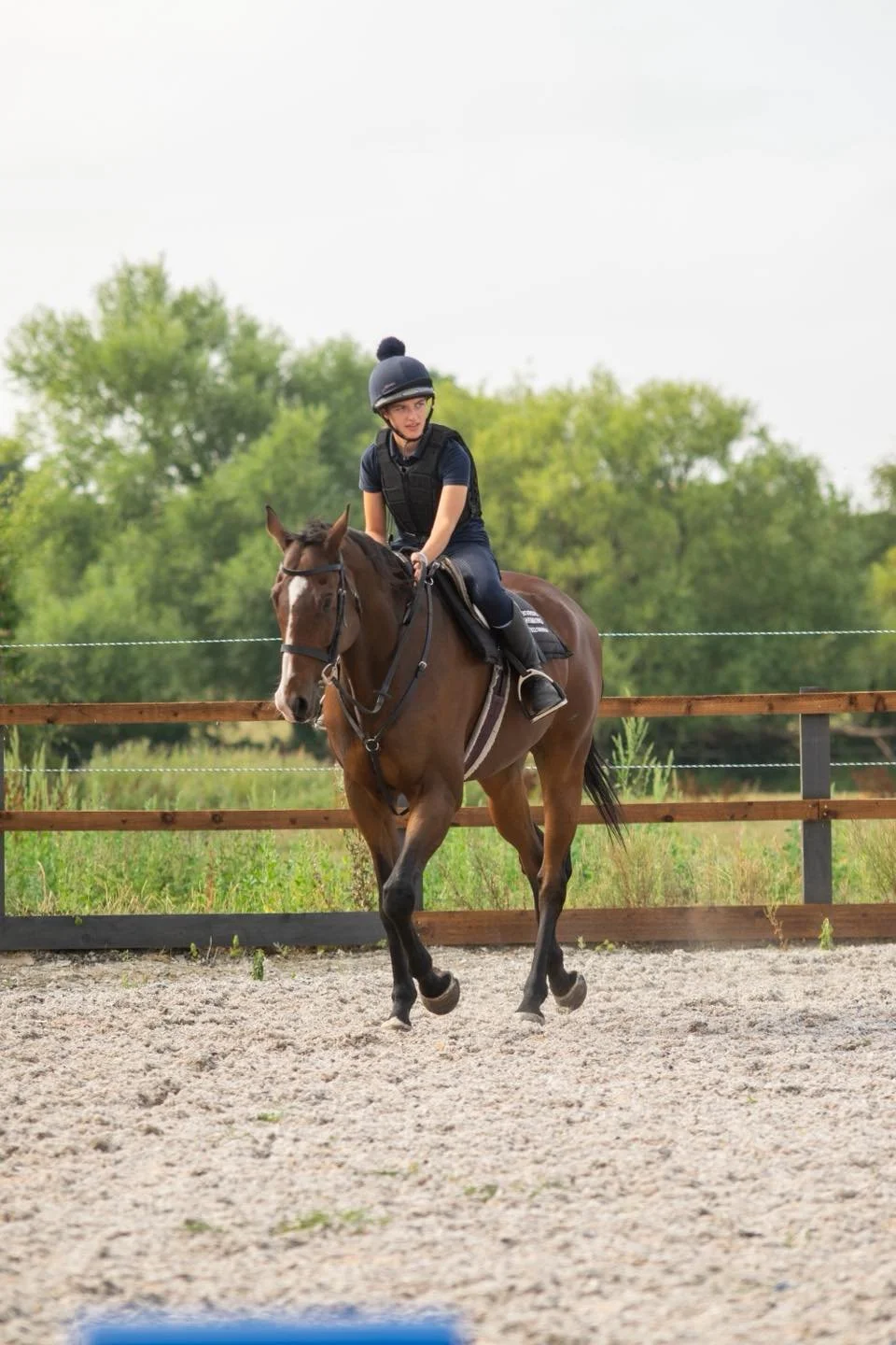 A person riding a brown horse in an outdoor riding arena, wearing a helmet and black riding gear, with green trees in the background.