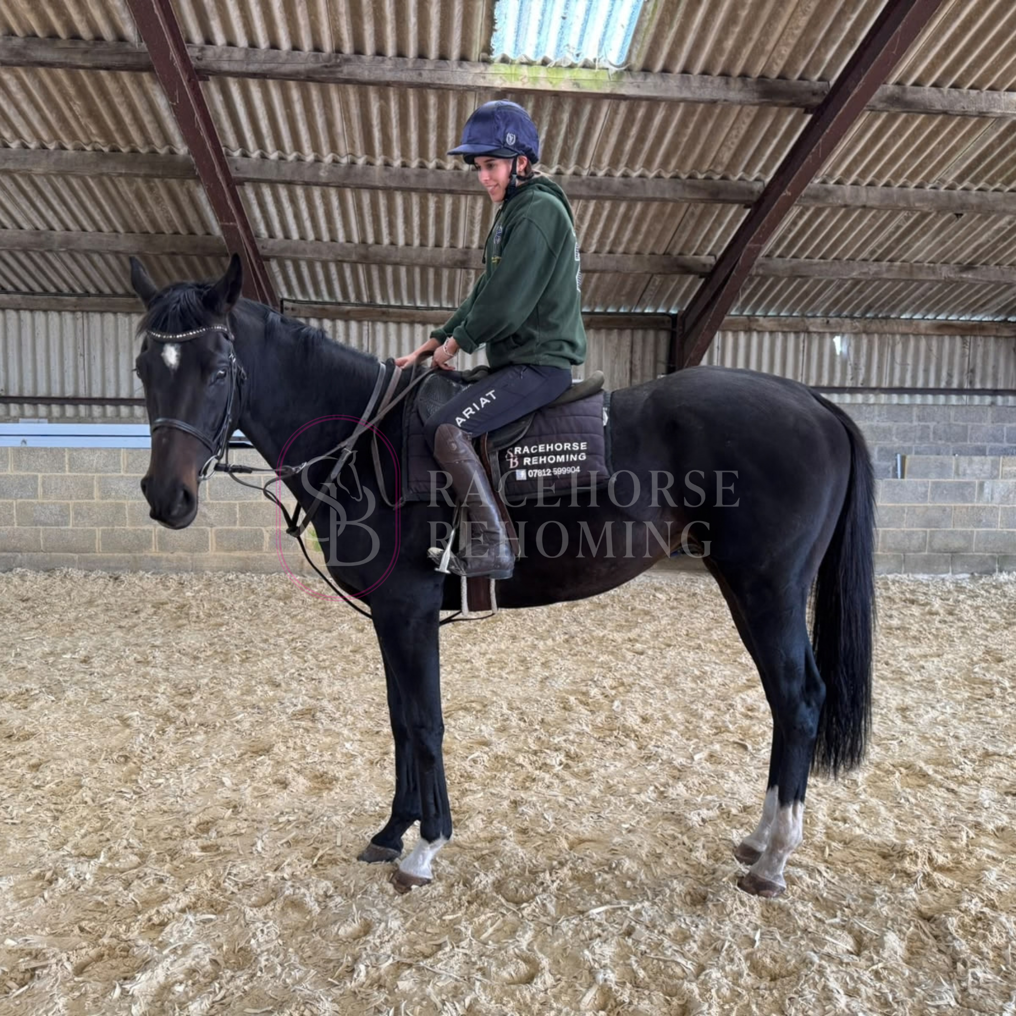 Onslow_watermark (2).png