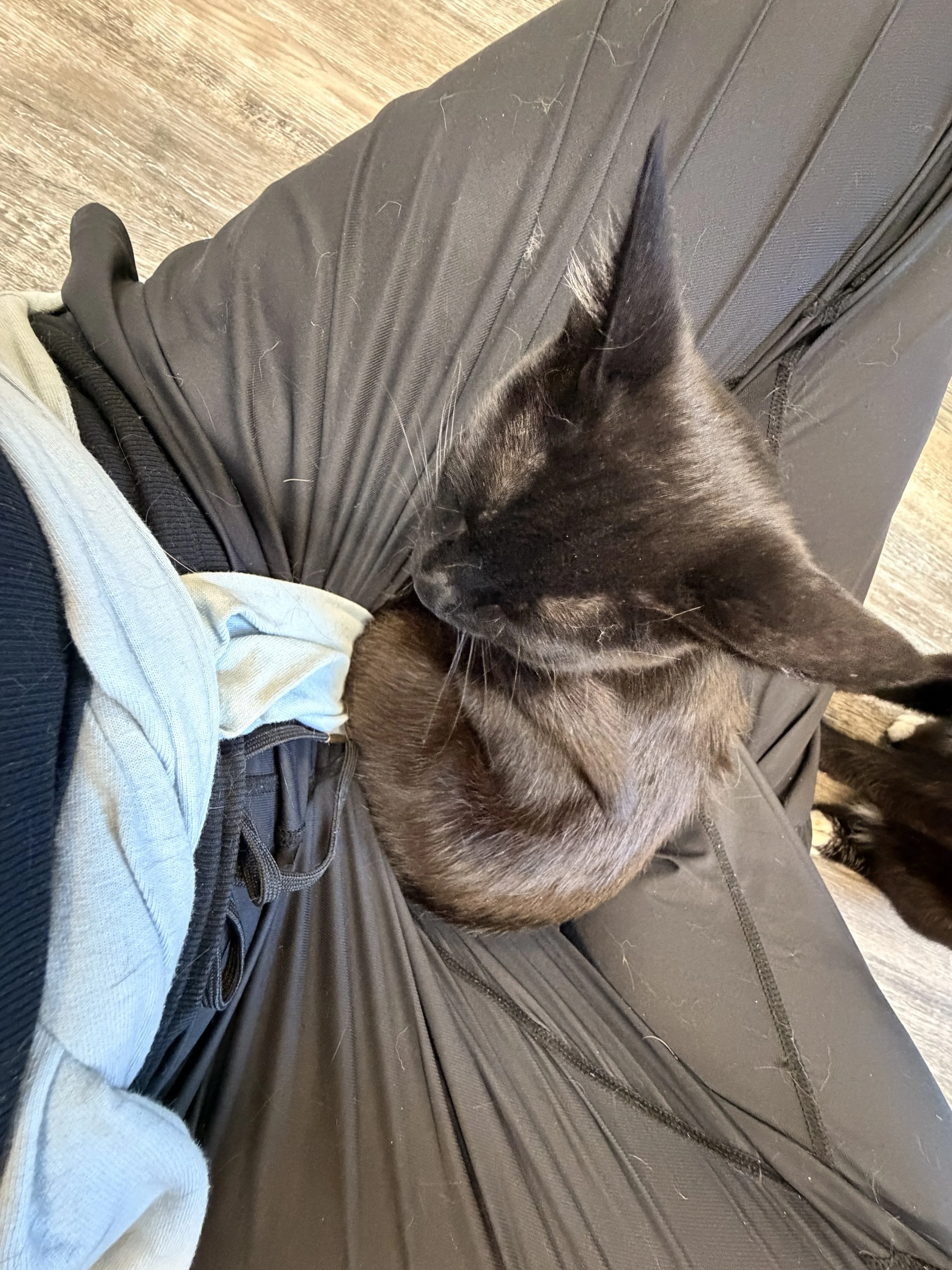 IMG_3031.jpeg