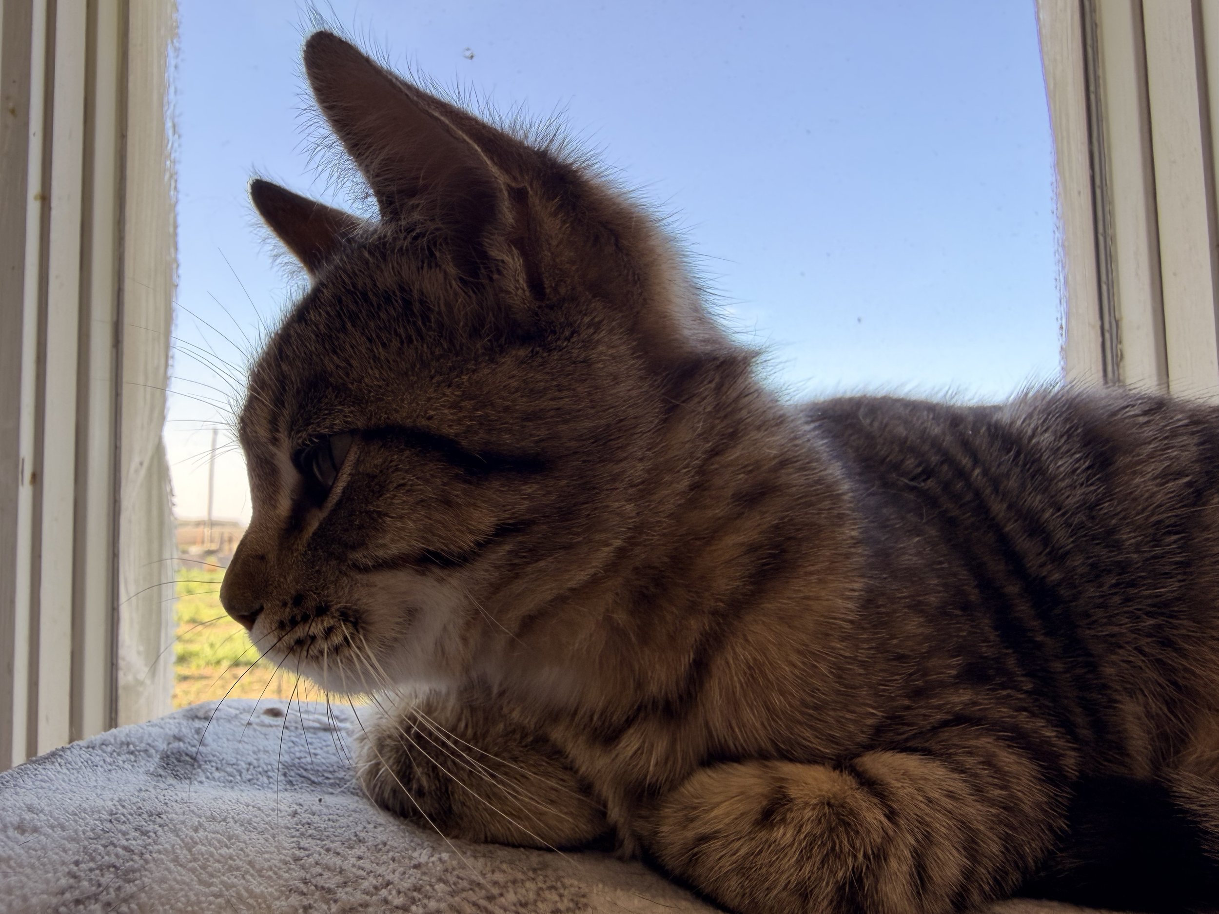 IMG_3040.jpeg